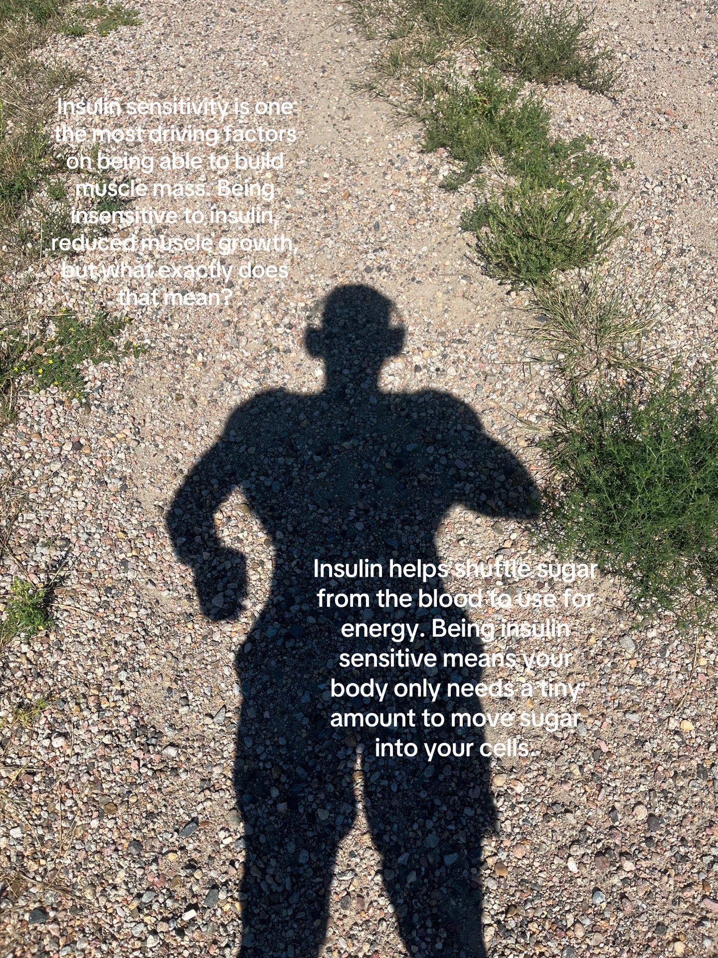 @Jacob Bennett | Online Coach