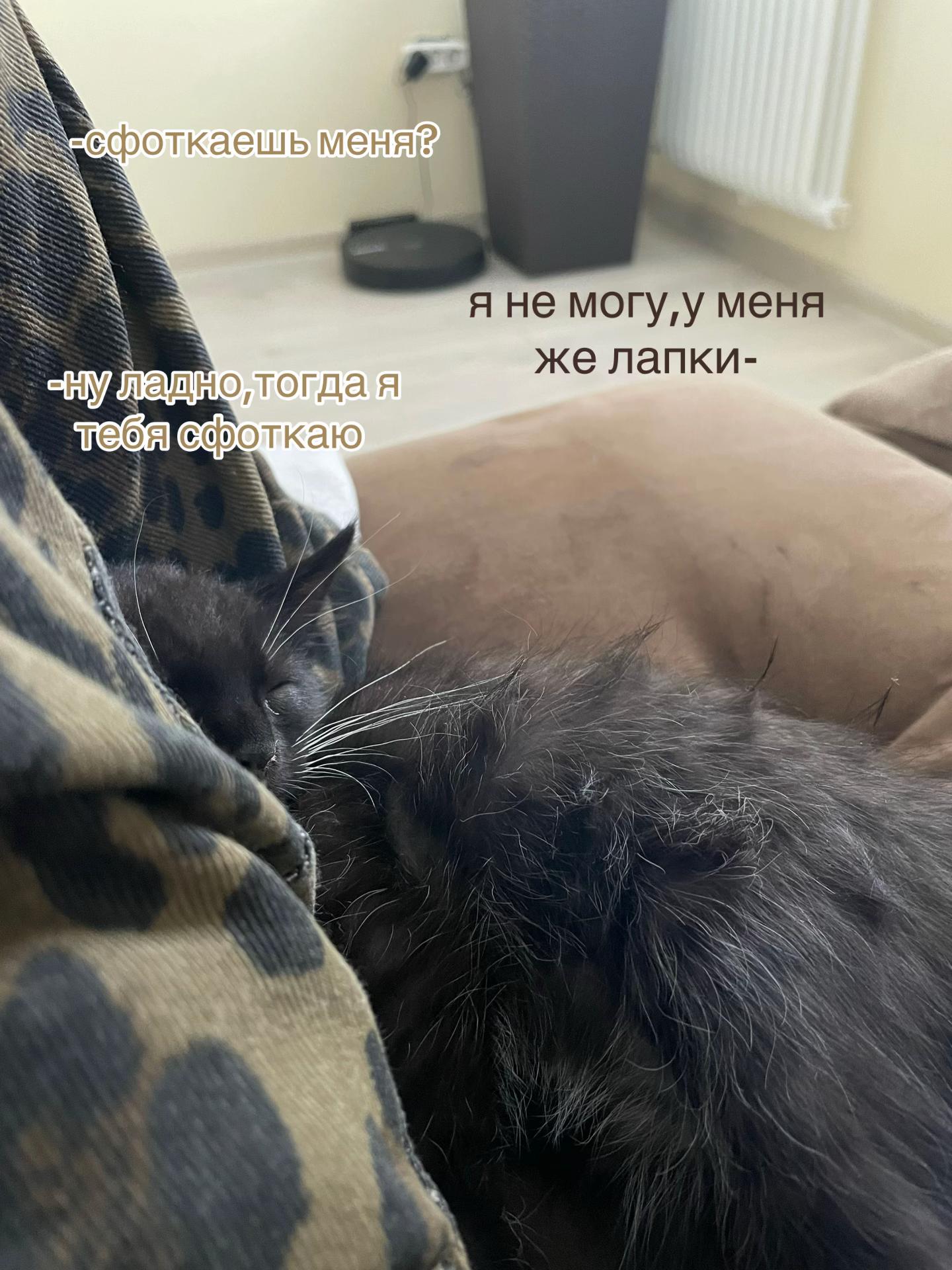 @likokk