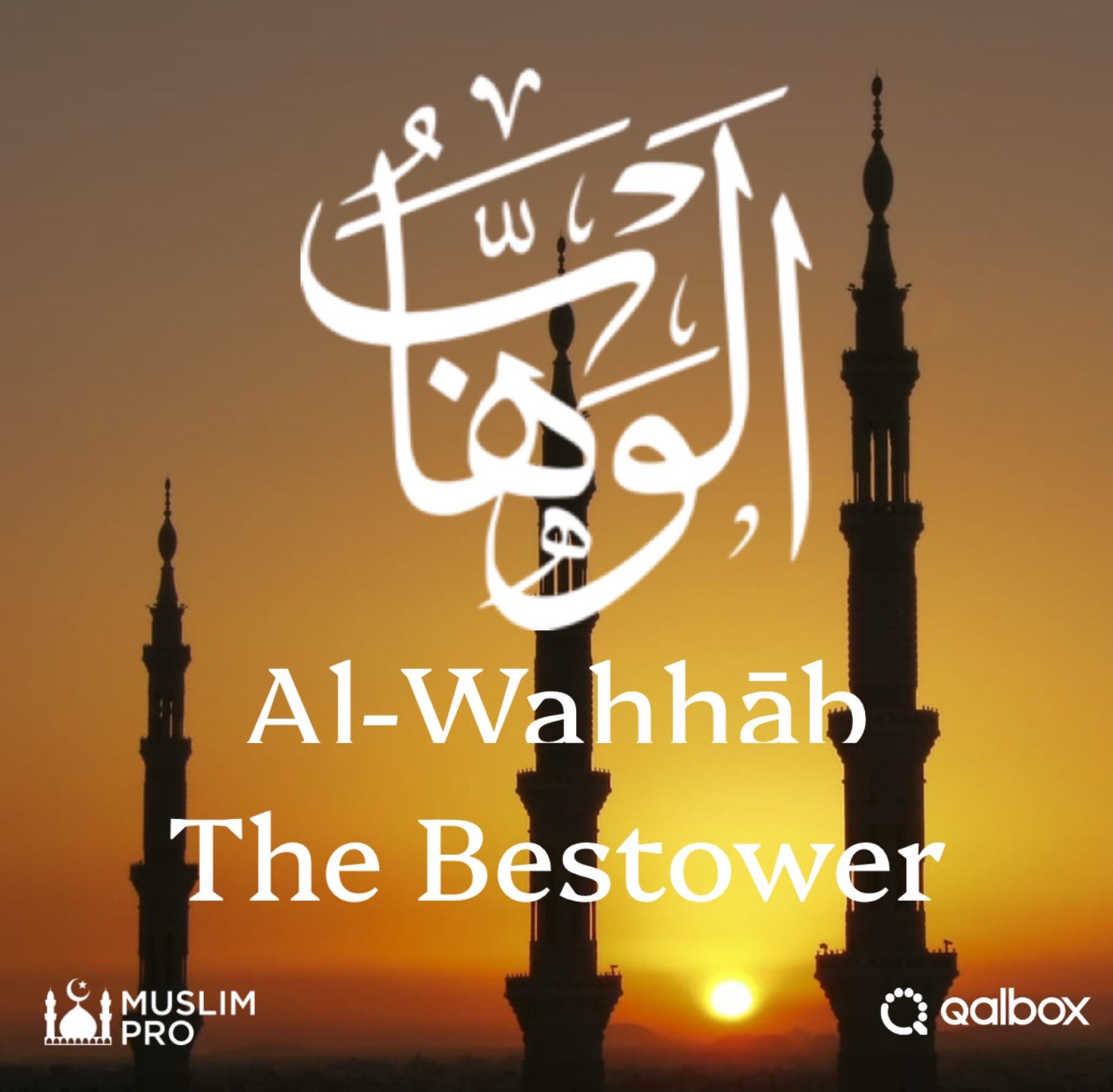 @mahmoud