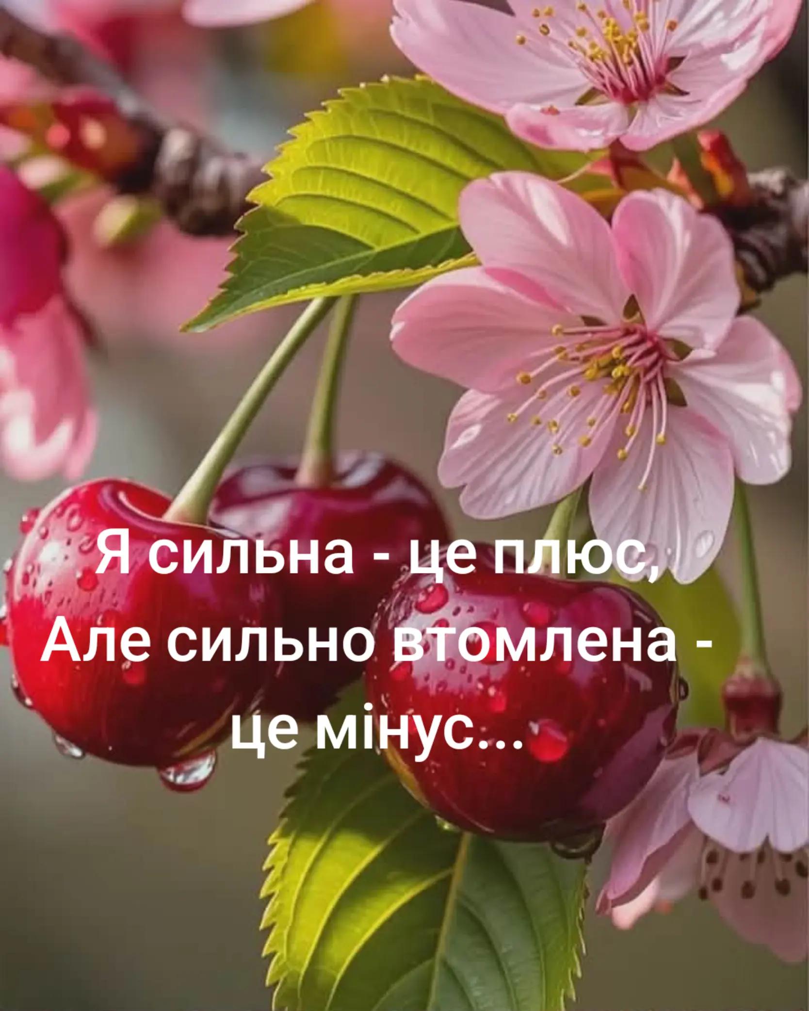 @🌟 Iryna 🌟