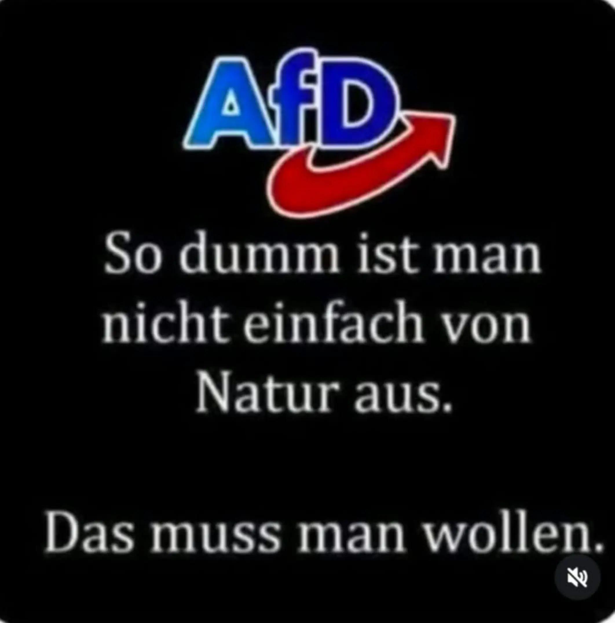 @Joker,s Aquarienwelt