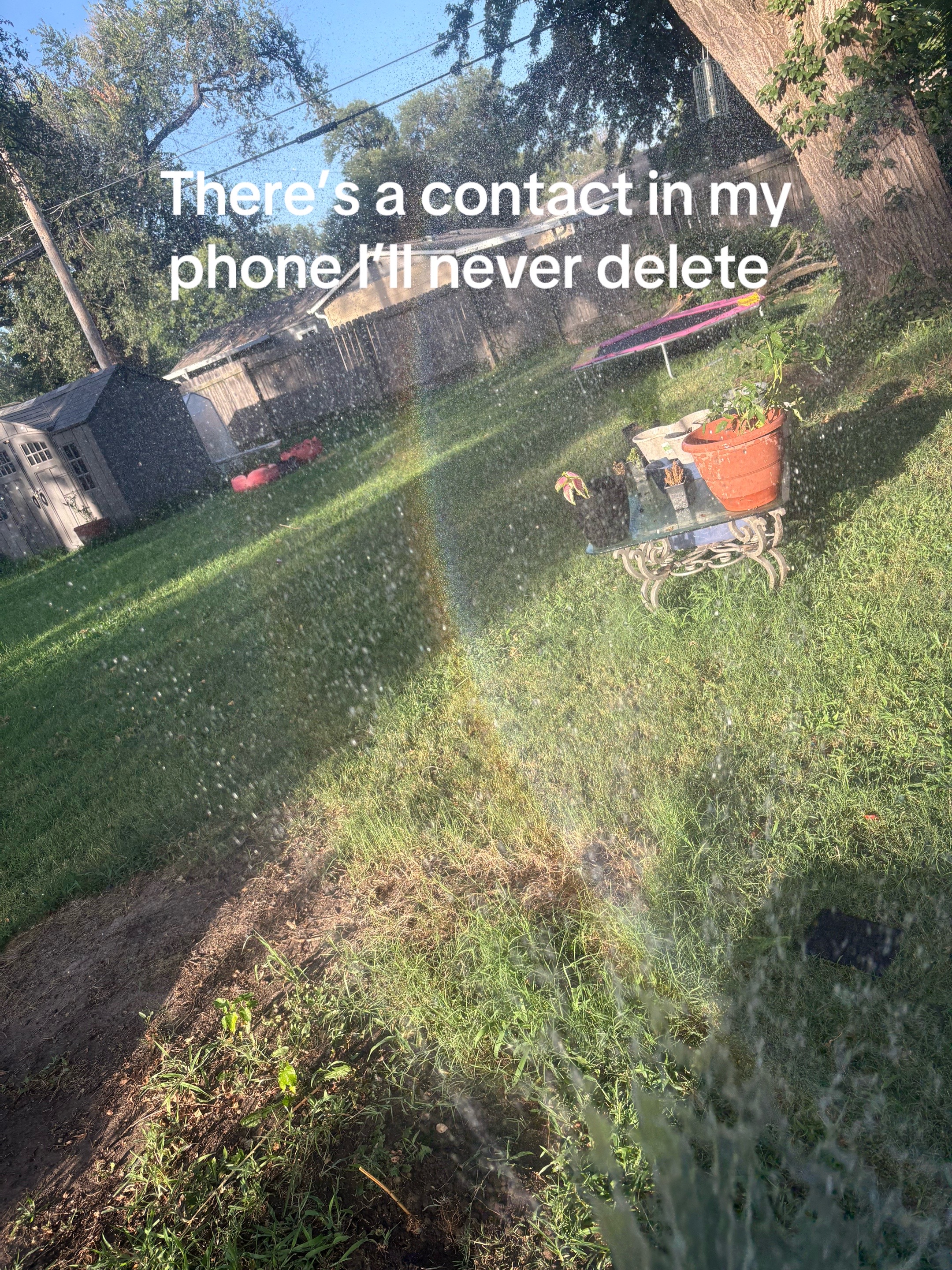 @DestinysAdude🤣💙