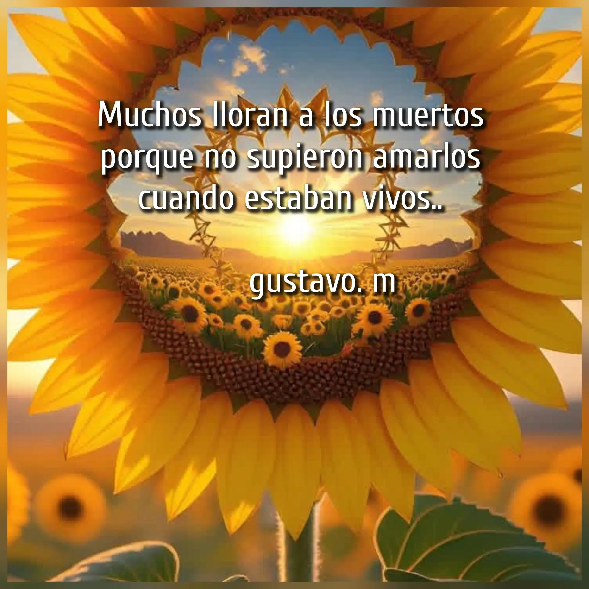@Gustavo Martinez