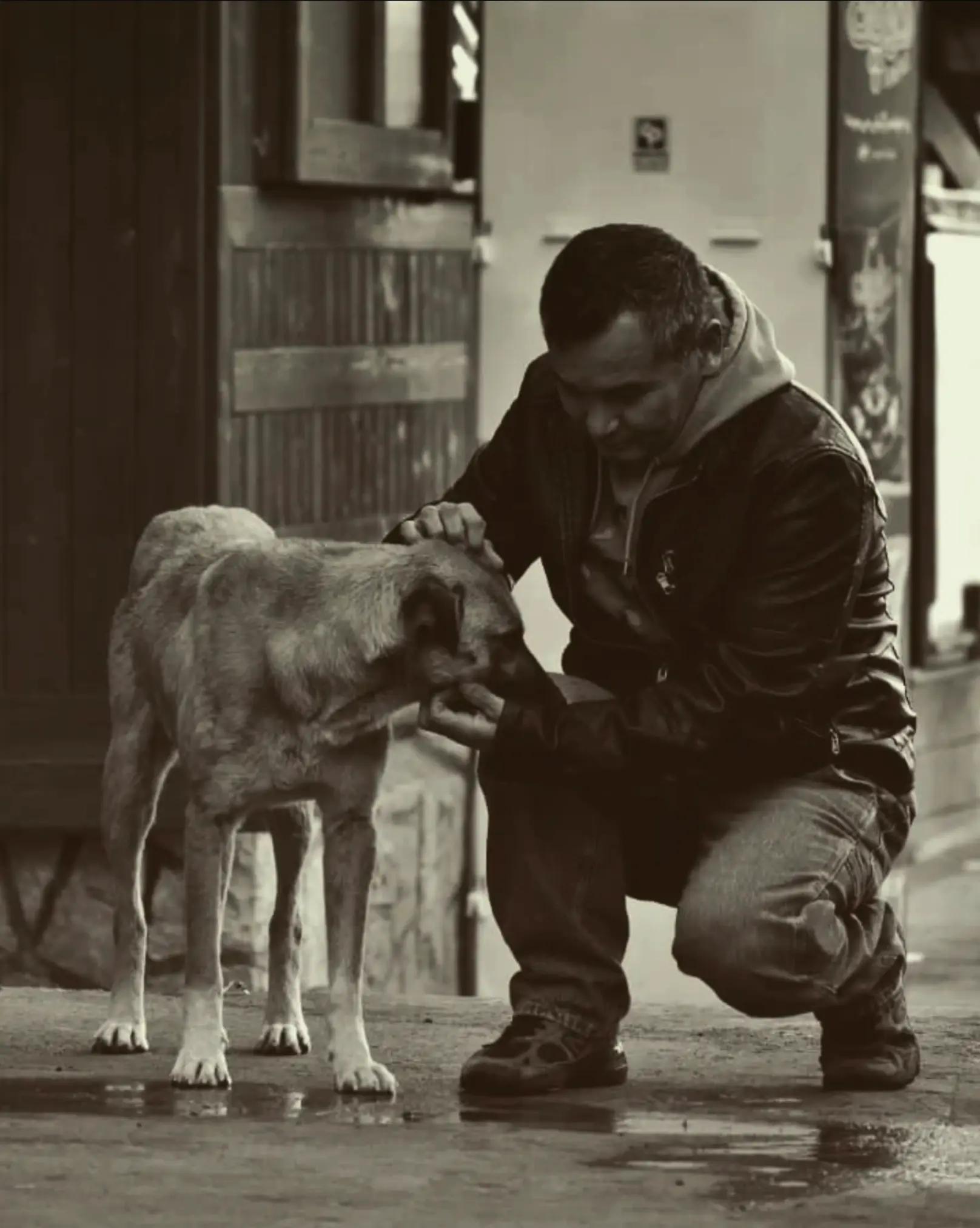 @Tavakoli_H