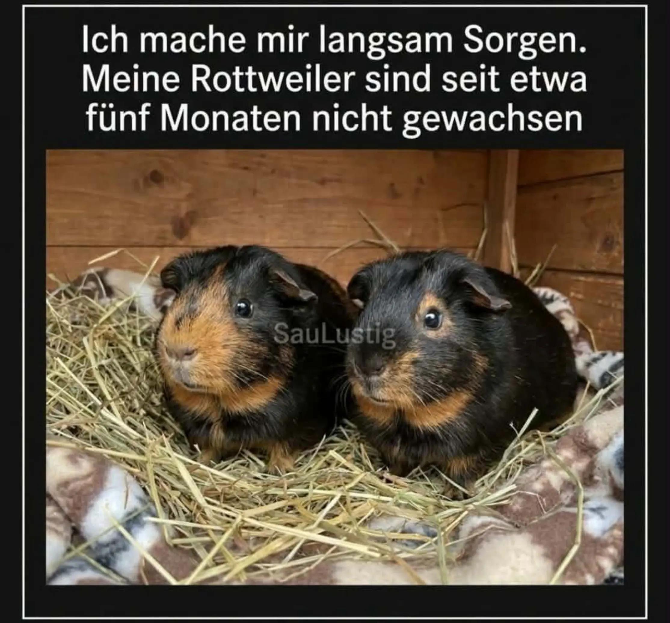 @Juliane Weber