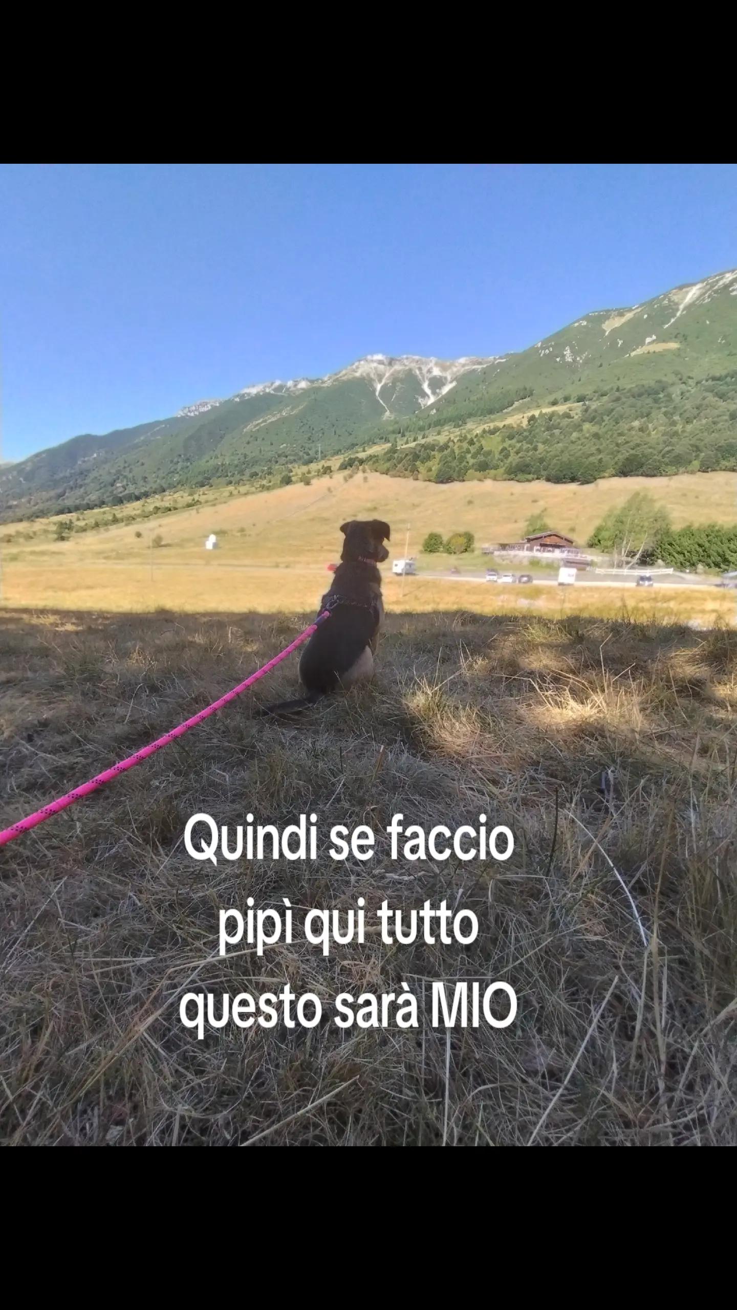 @PamDem