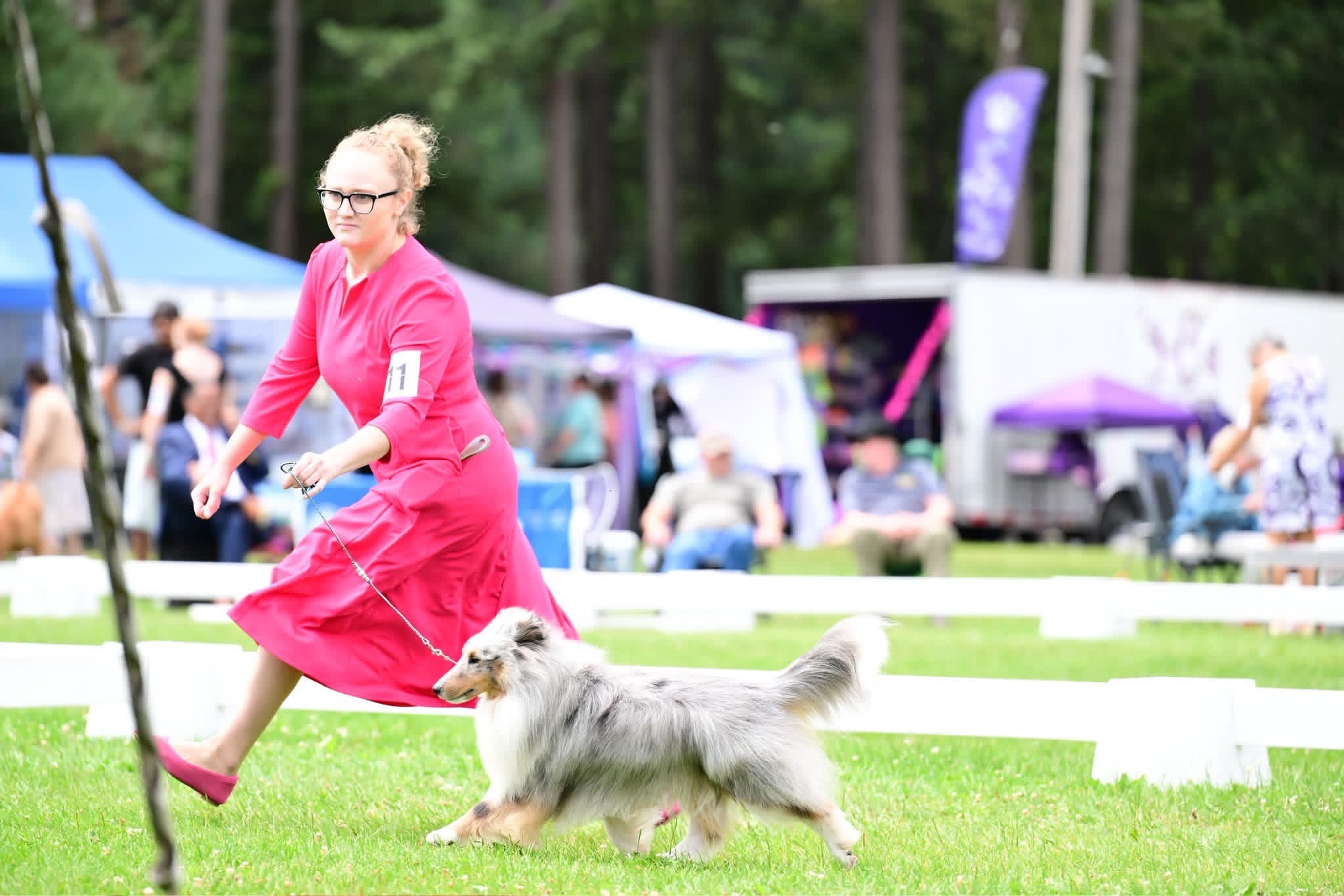 @Heather Discovery Canine Adv.