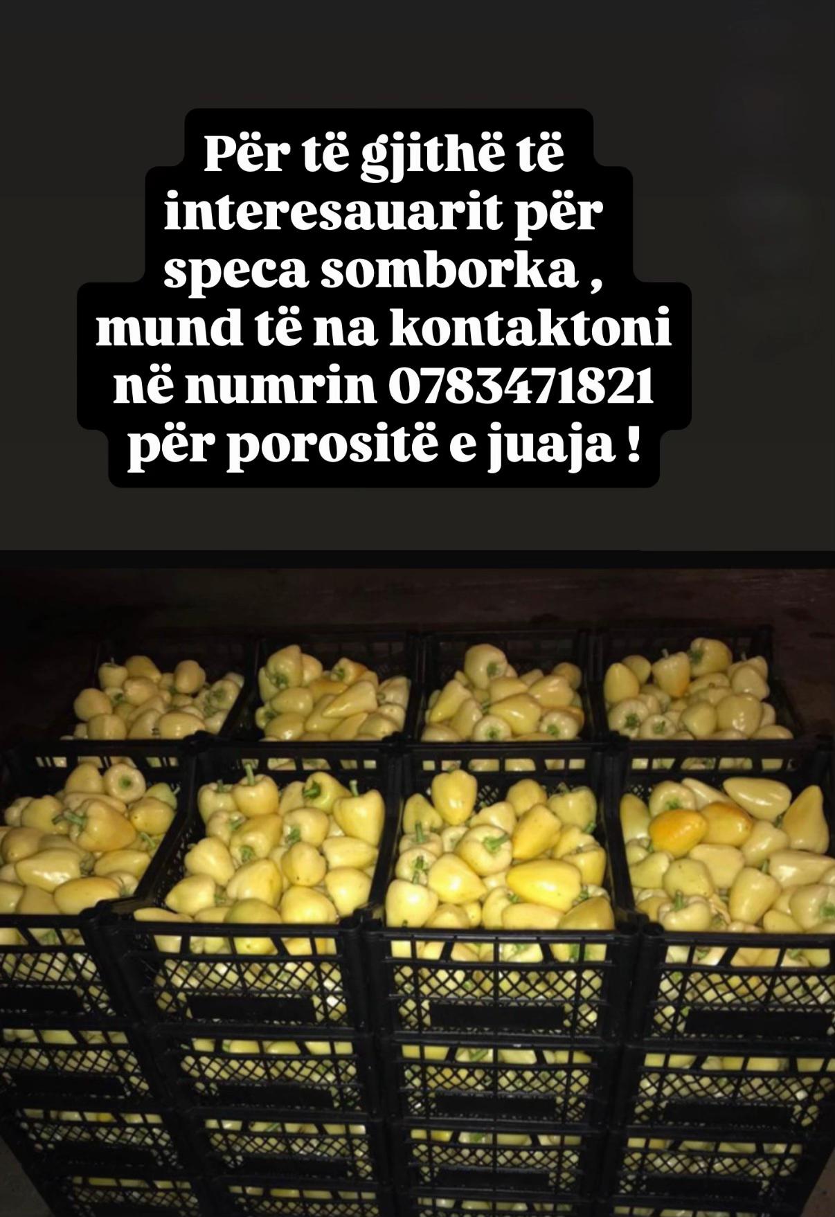 @DidaMarket