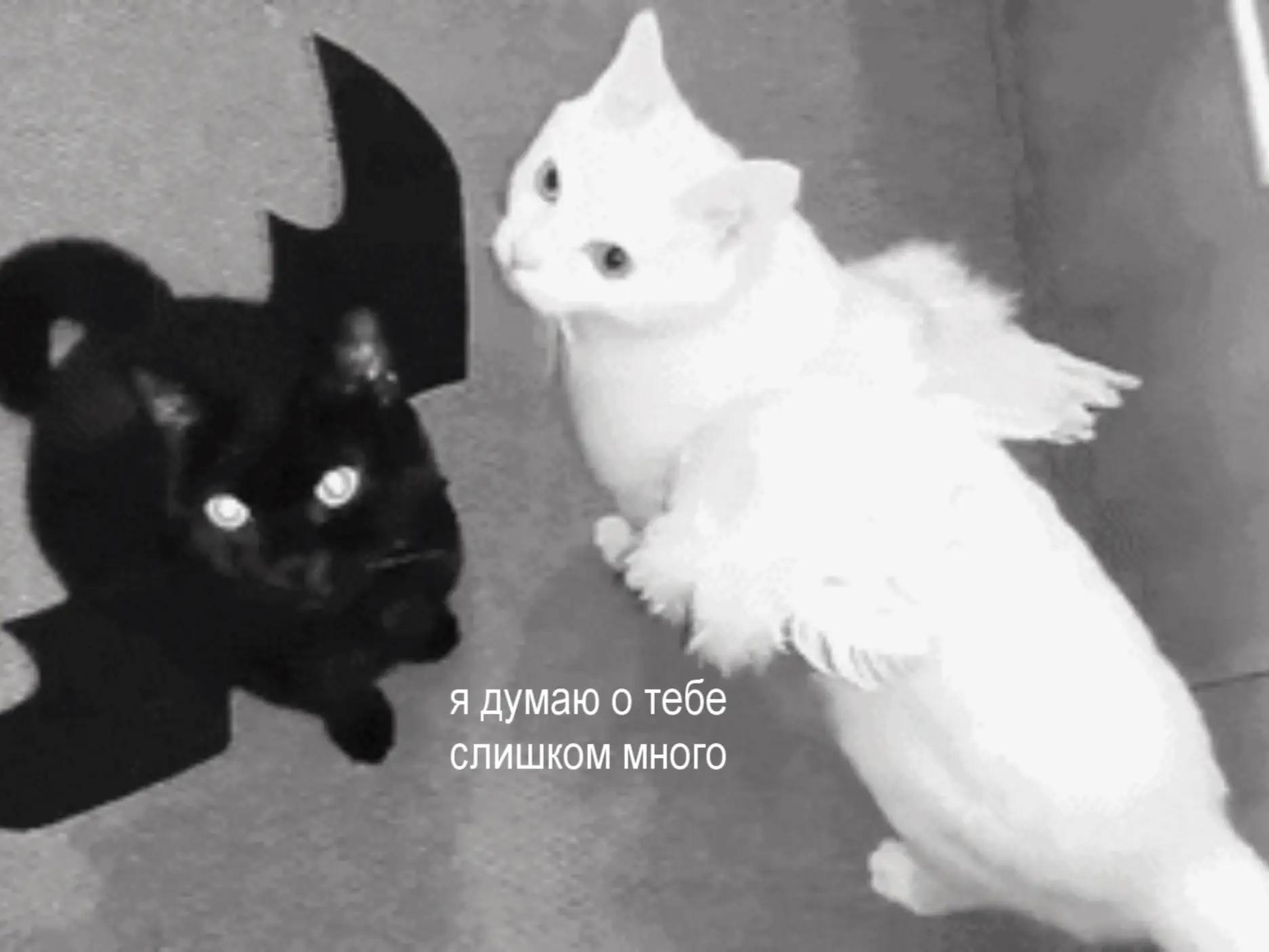 @память