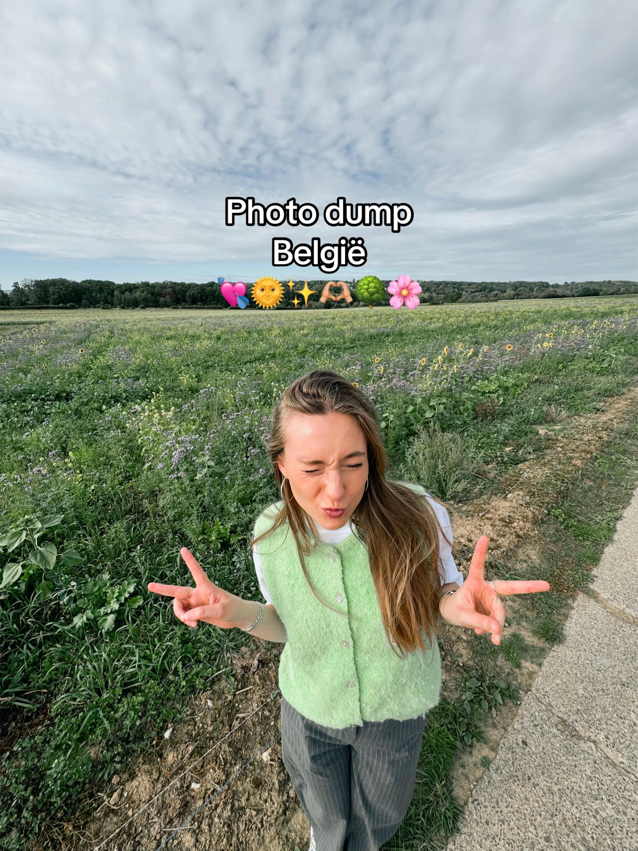 @Lotlotstudio