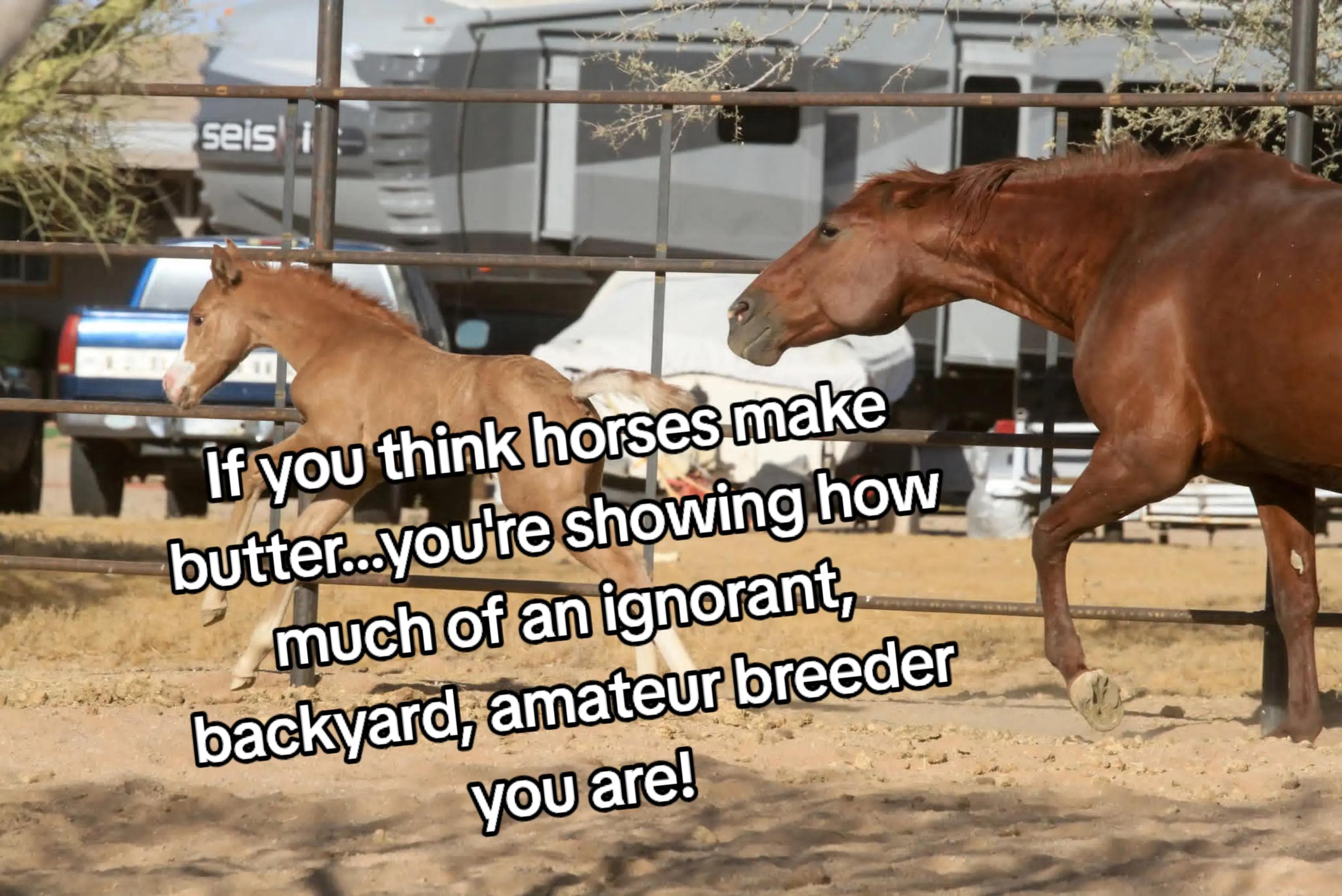 @picture perfect
