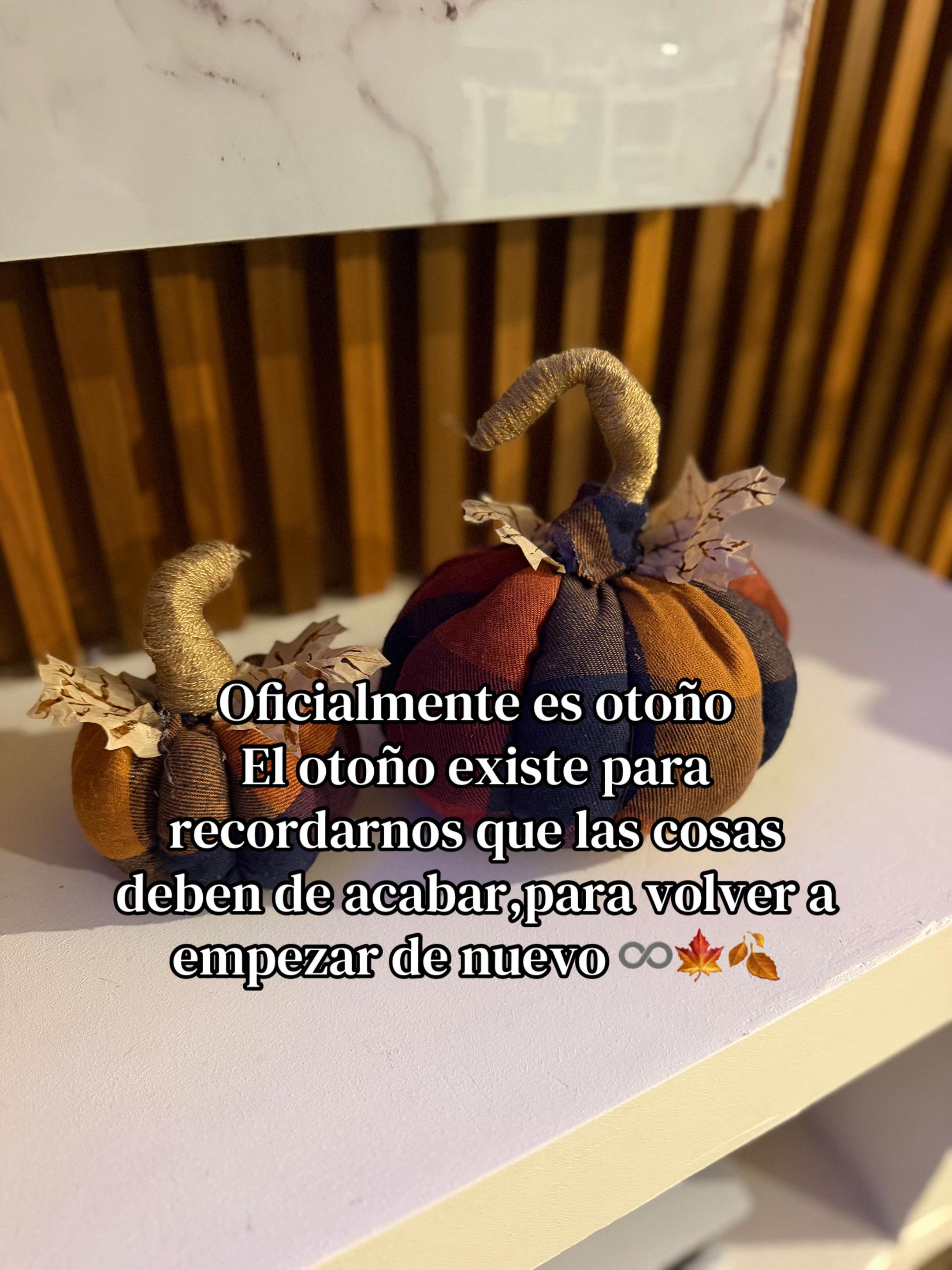 @Abii rodea 🧿