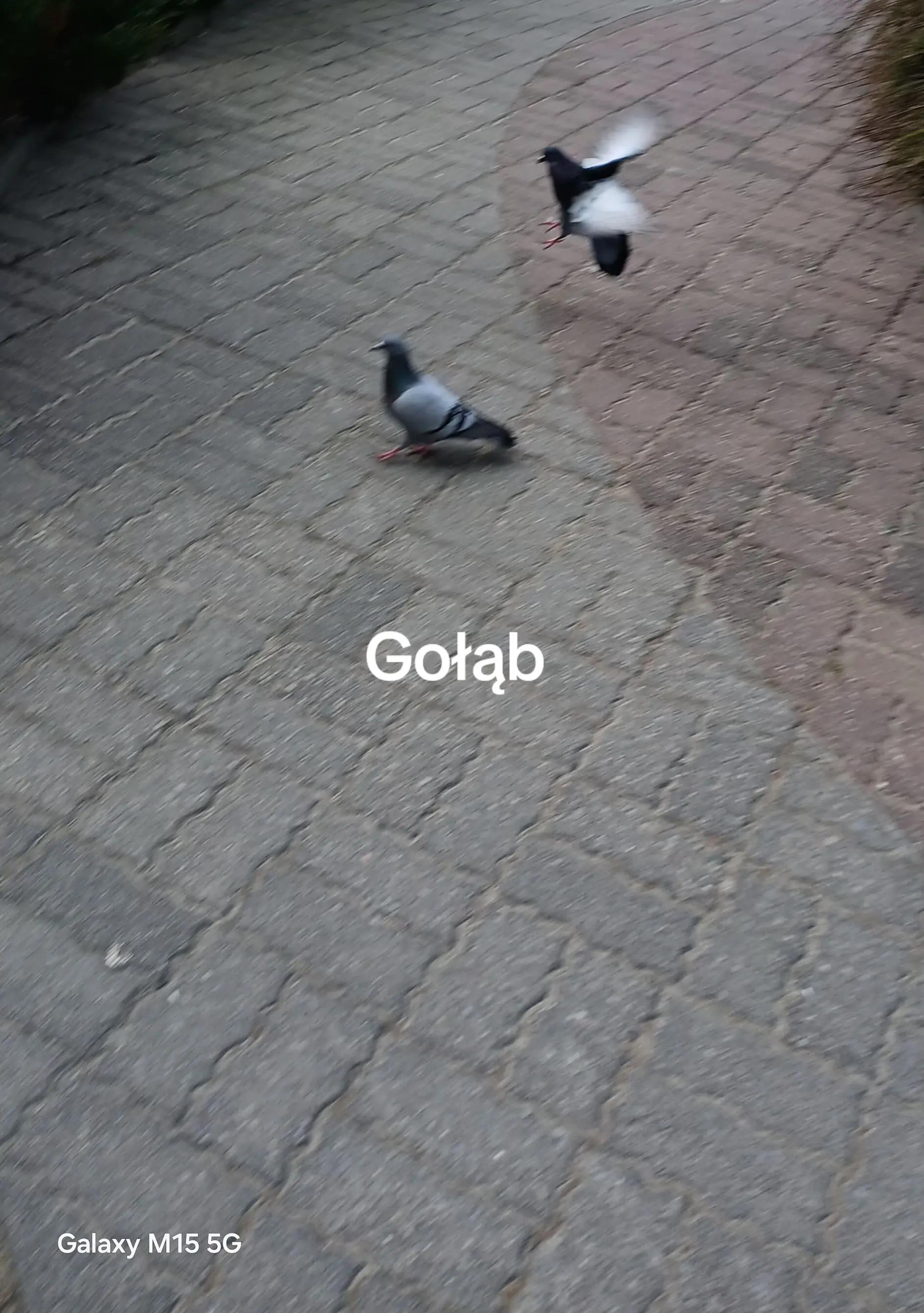 @Matipcdblok45
