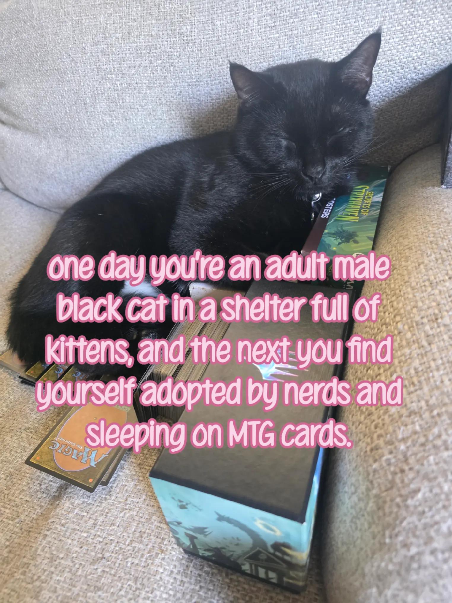 @itsa_me_amberd