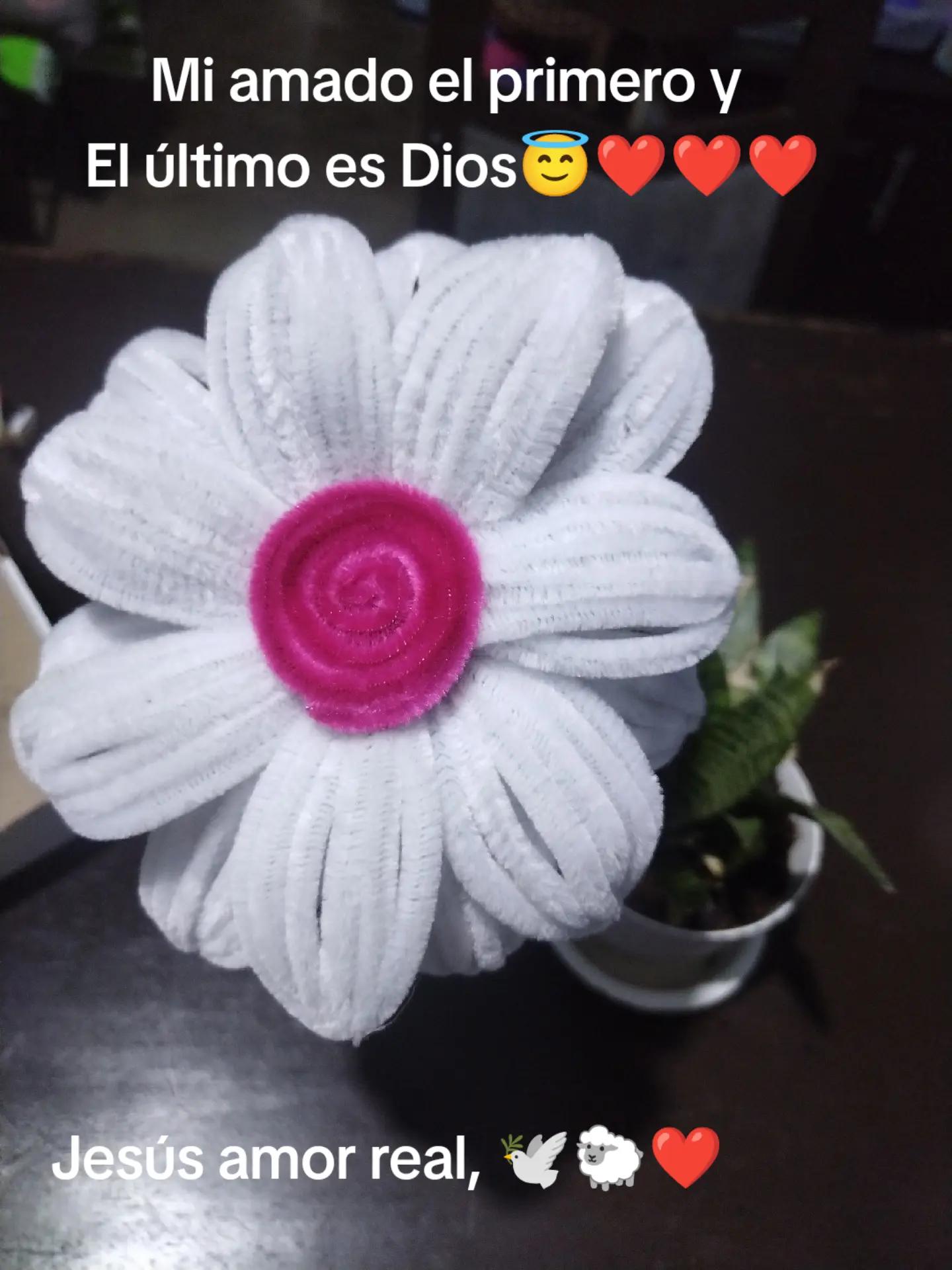 @luzmila 7❤️🇧🇴🤍