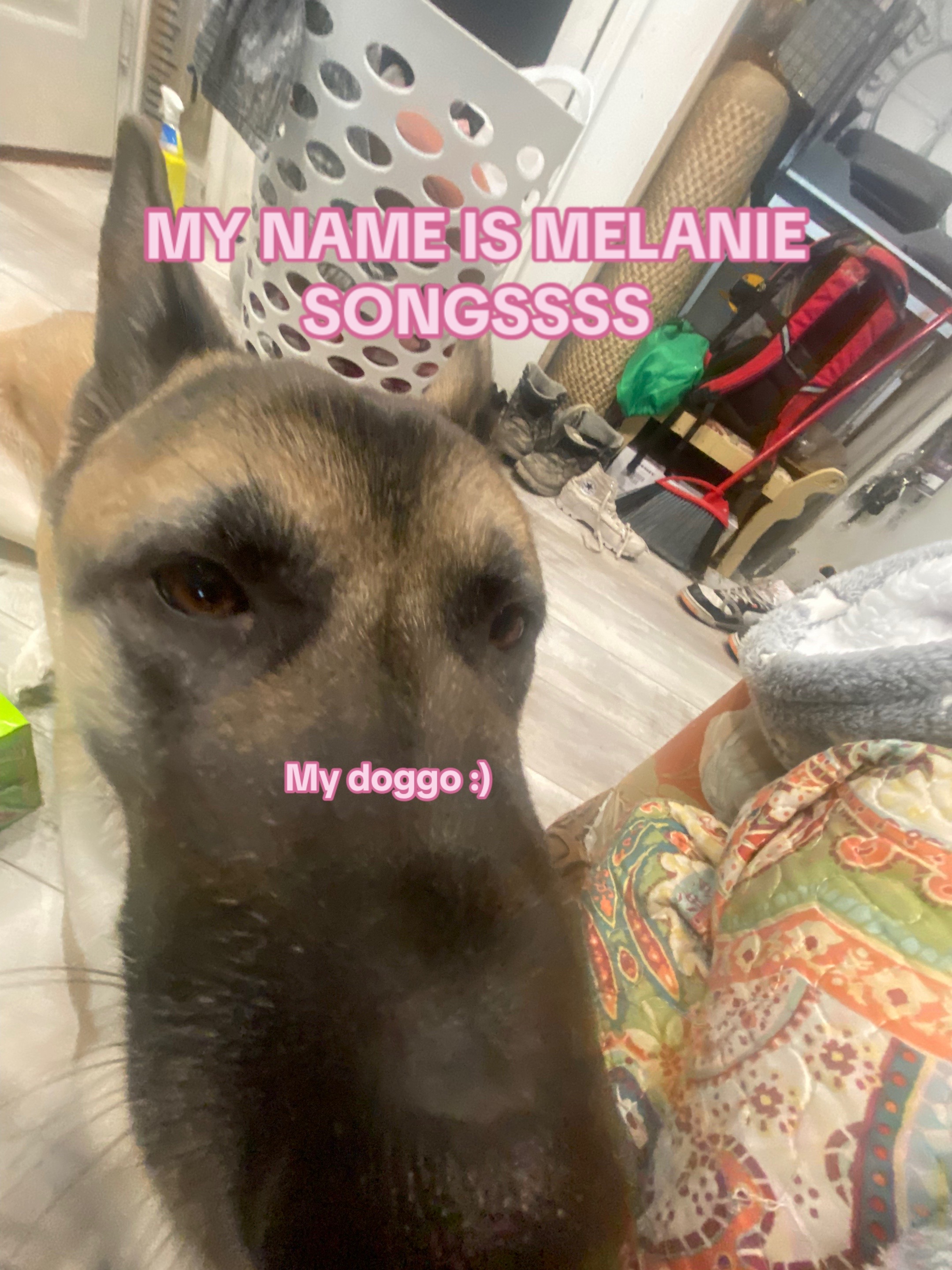 @Melanie Martini💗