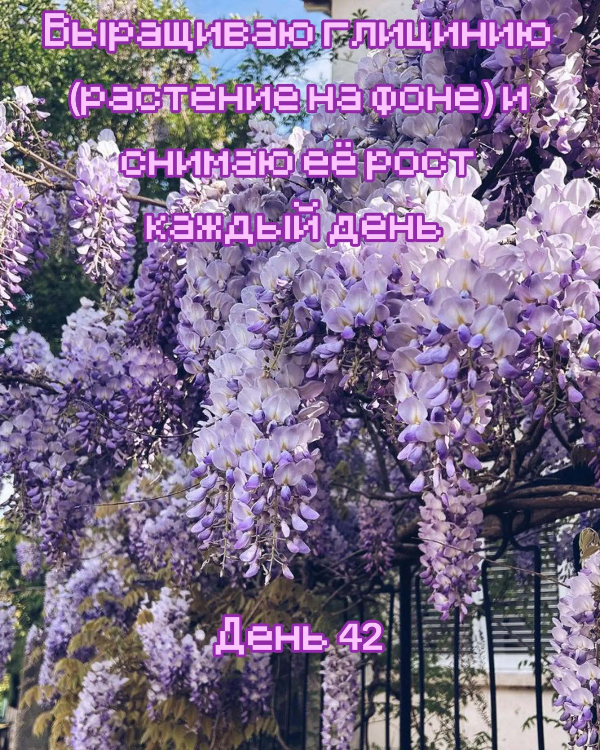 @Дрелька [nu]