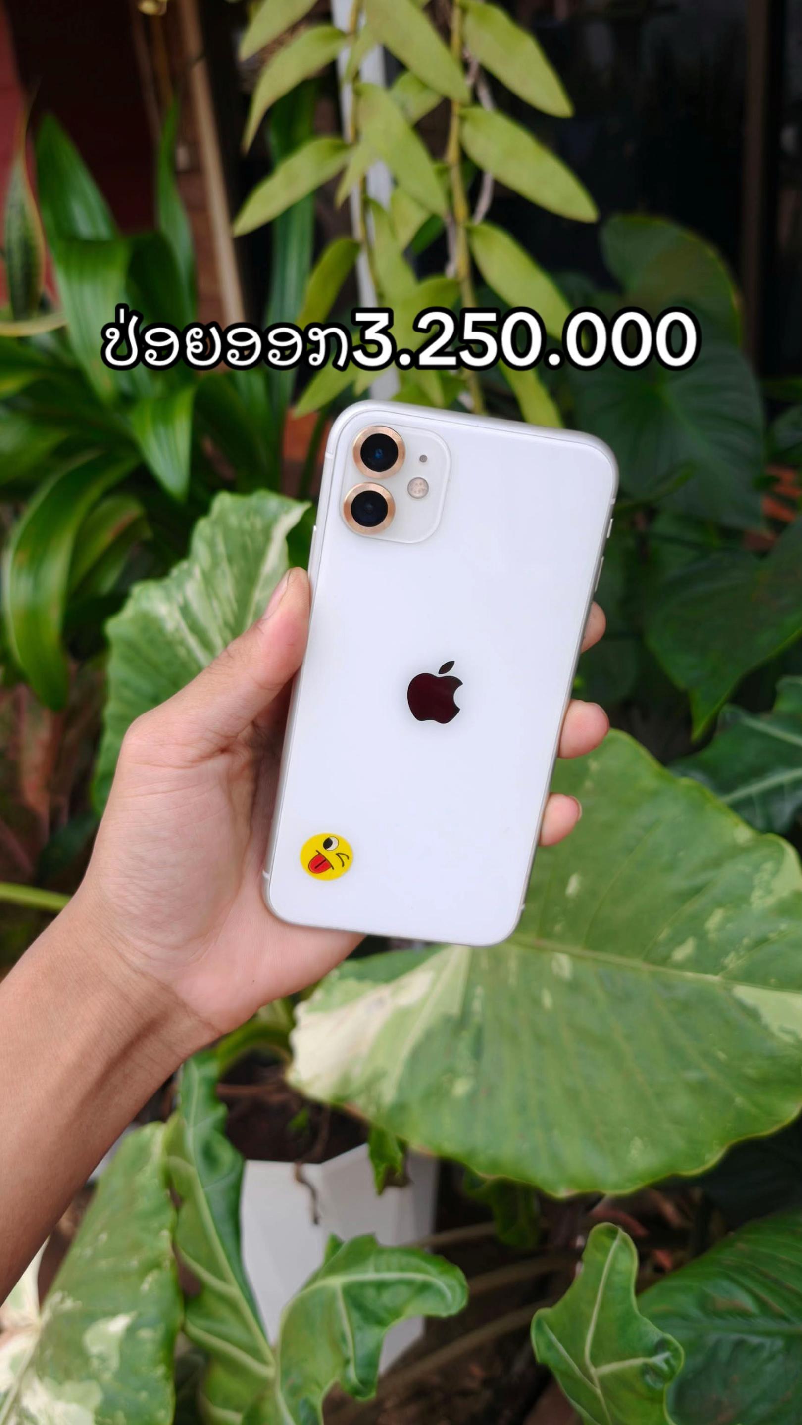 @ລູກສາວເຈົ້າຂອງໂຮງສີ👨🏻🌾🌾💚