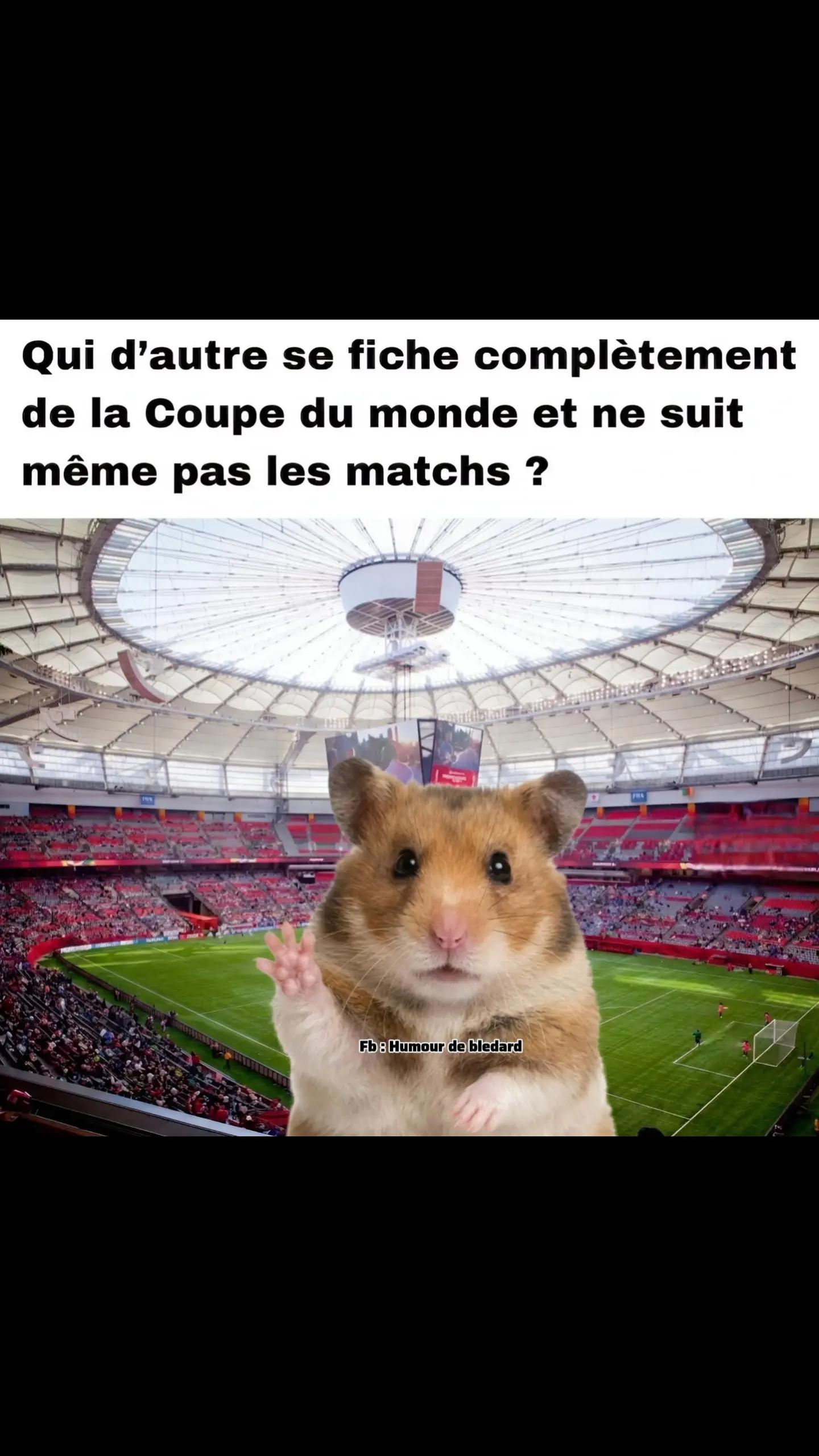 @&bull; 𝓙𝓲𝓶𝓶𝔂 &bull;