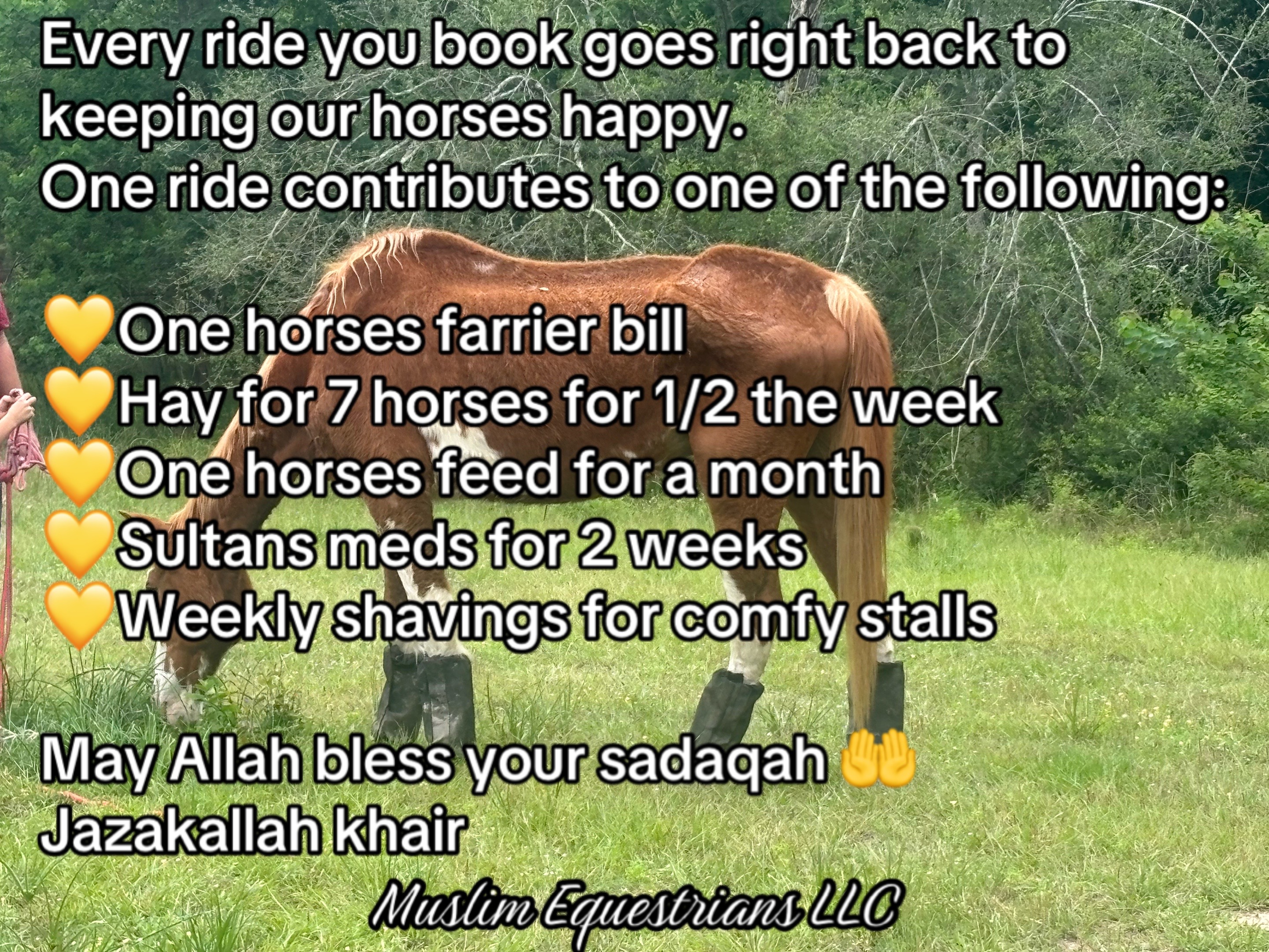 @Muslim Equestrians L.L.C.