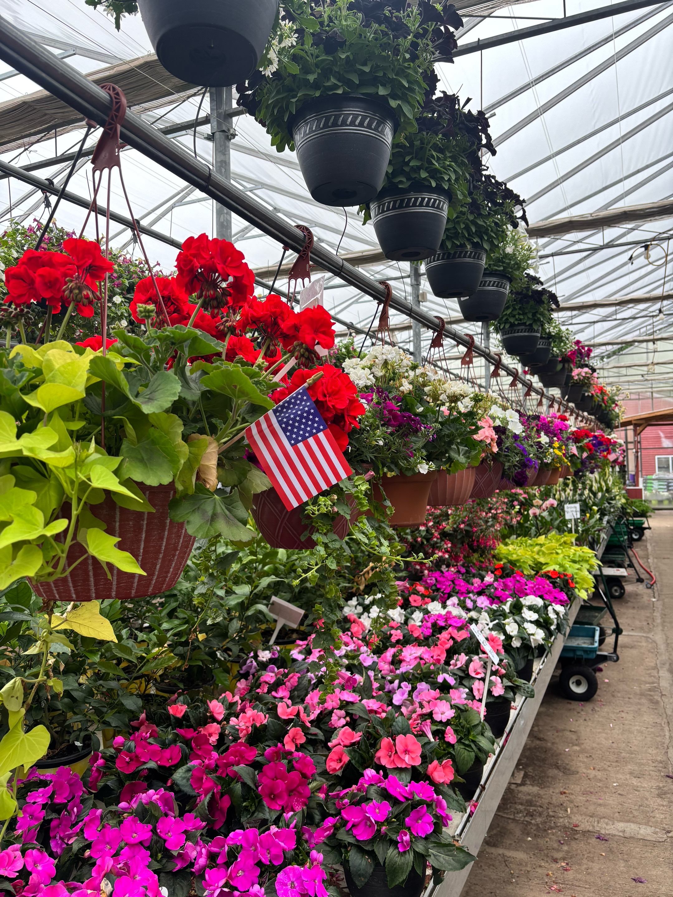 @JC Farm - Durham, CT