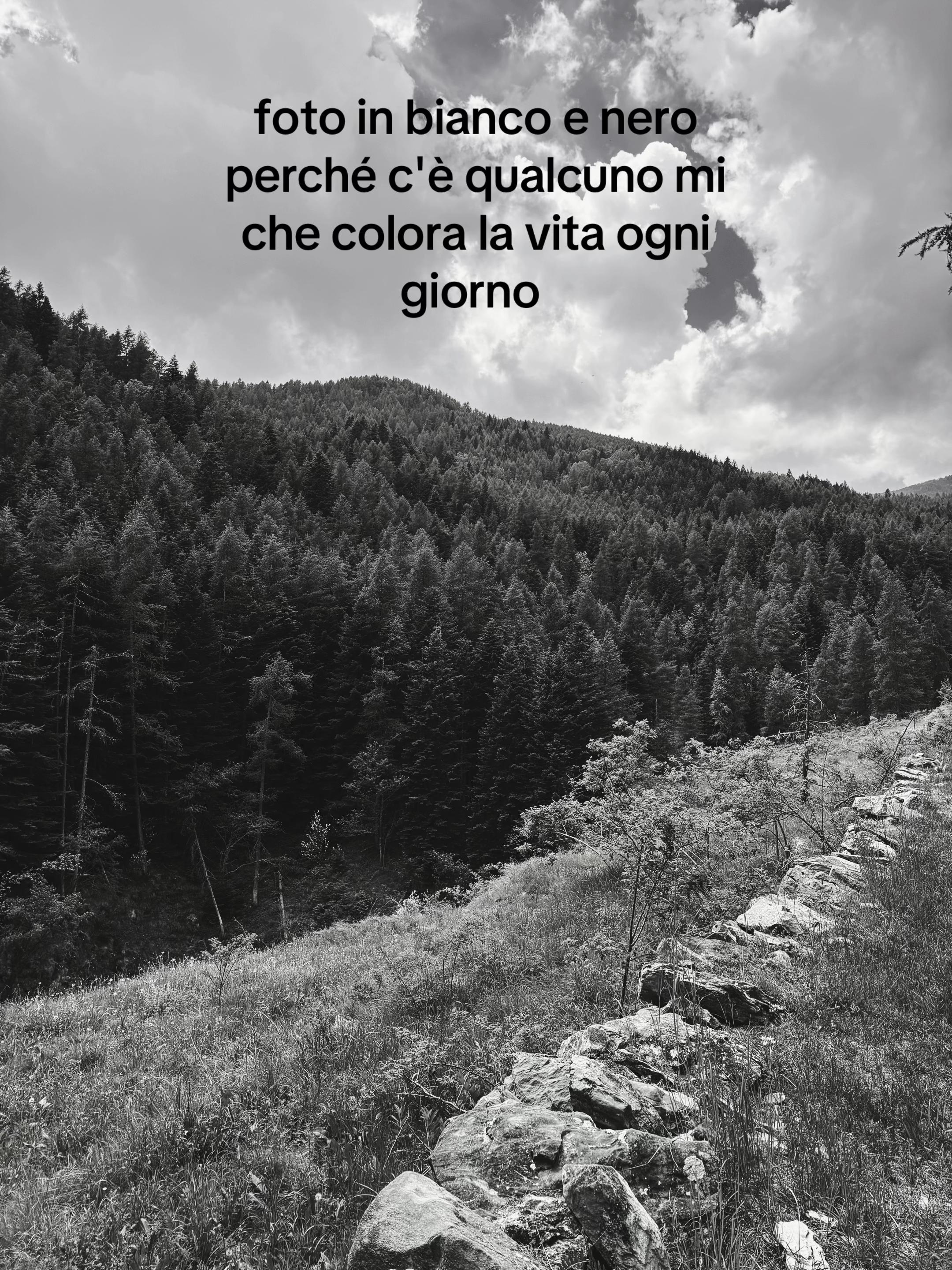 @siamobravecomeilpane