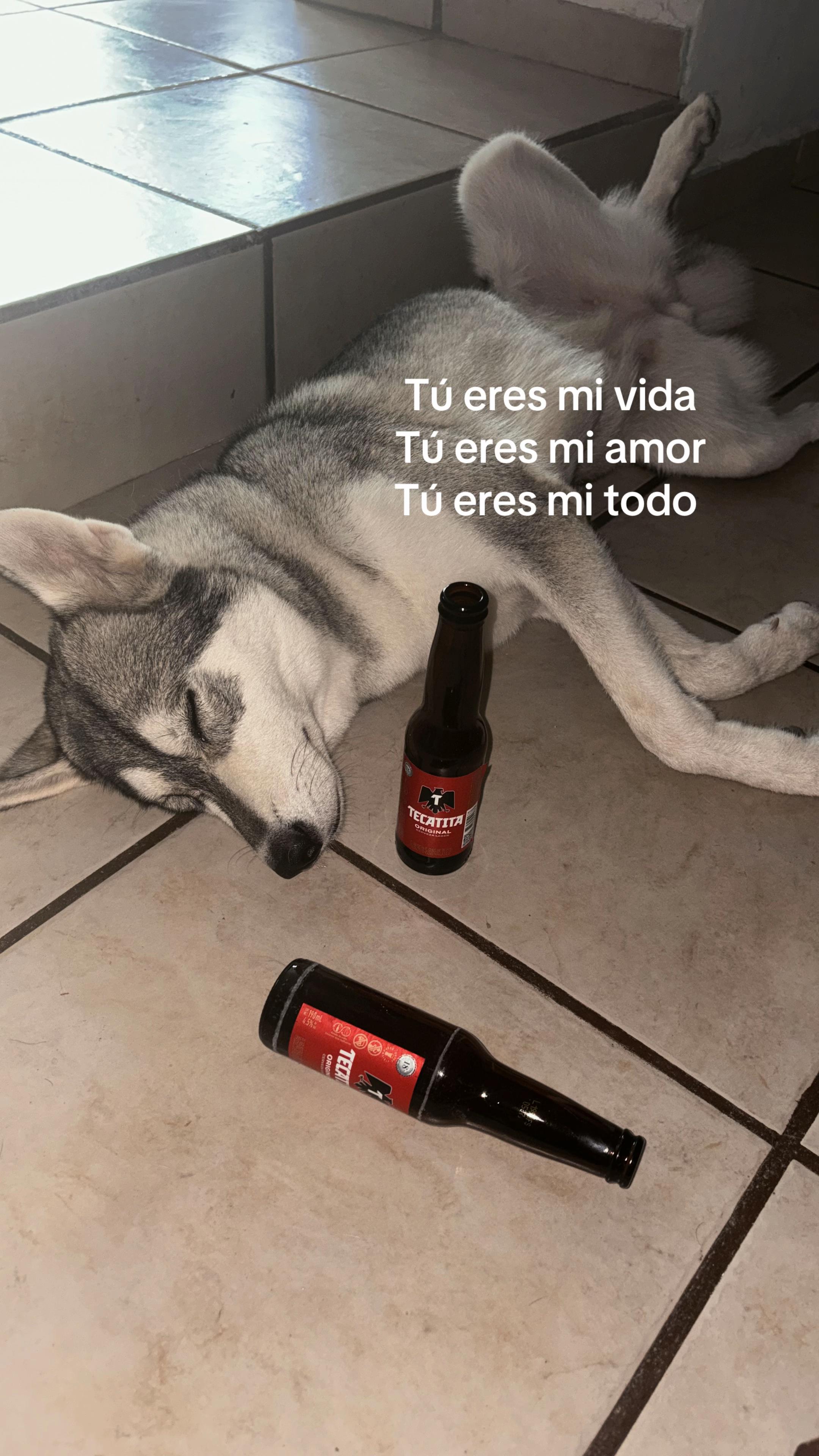 @Ann