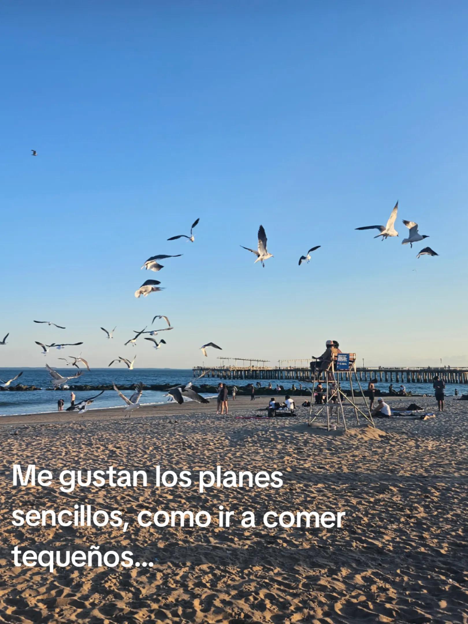 @aless
