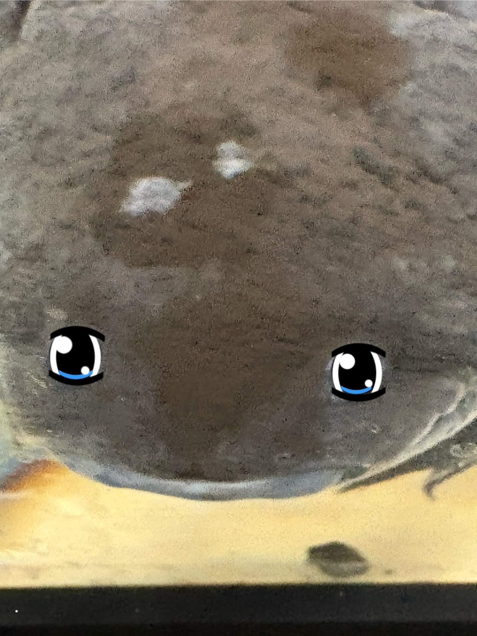 @๐ฅ๐ฅ๐ฃTaph๐ฃ๐ฅ๐ฅ