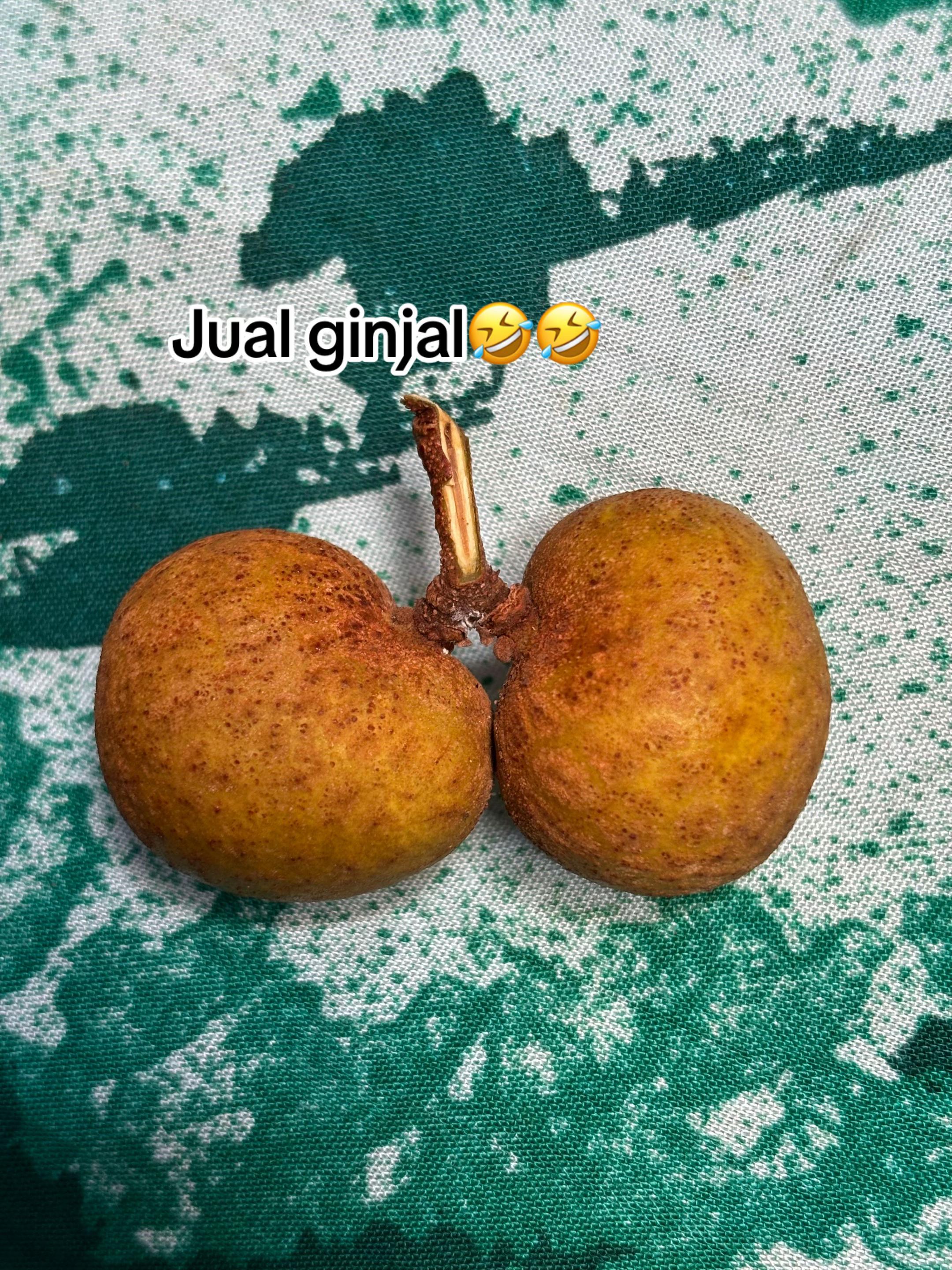 @gifaeyshop17