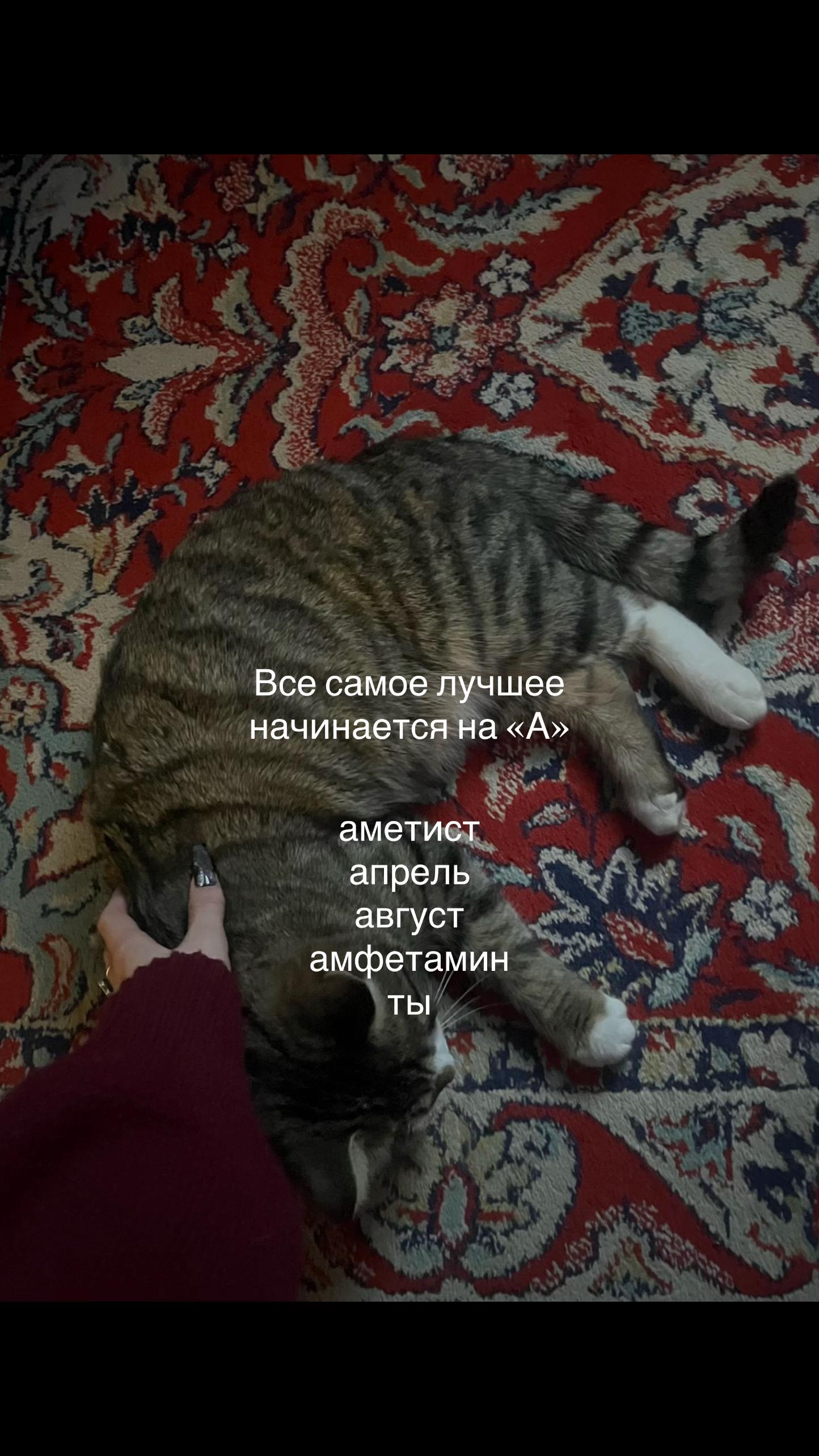 @𖣂︎ Леонова
