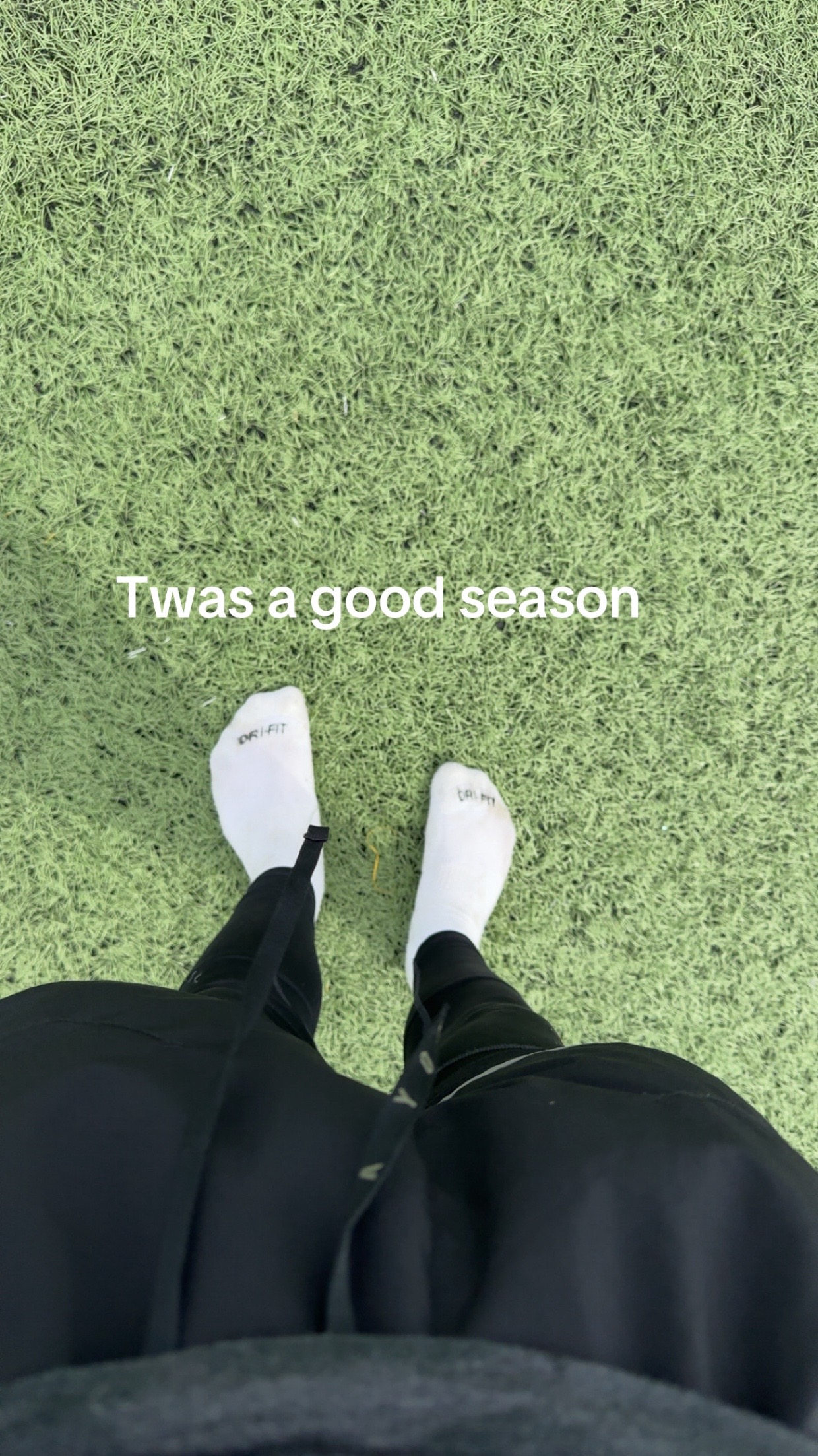 @Levi 🦉
