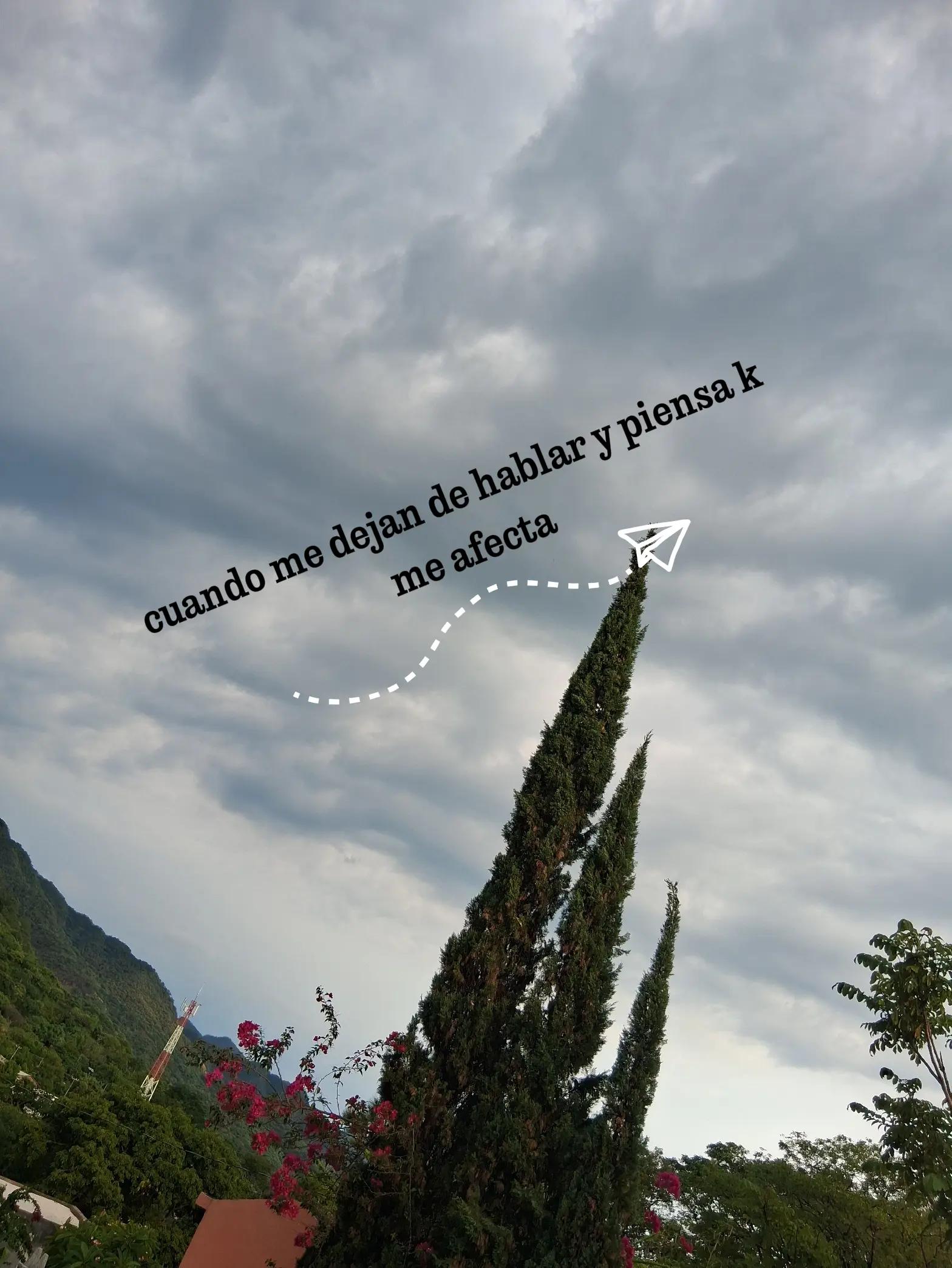 @Xiitlally Zetina