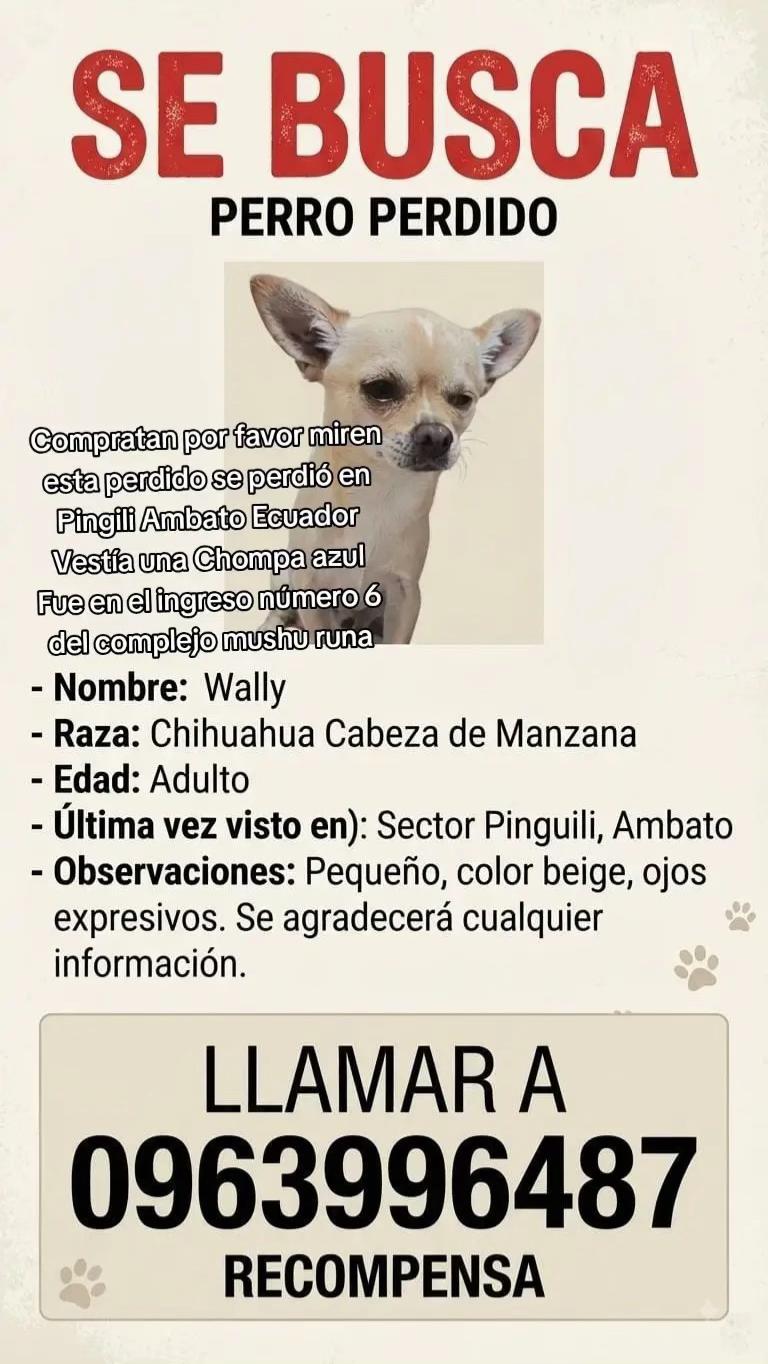 @Amigoscaninos_Ambato
