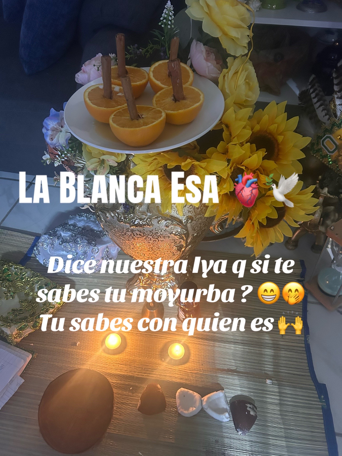 @Lacasadeeggun🤍🖤