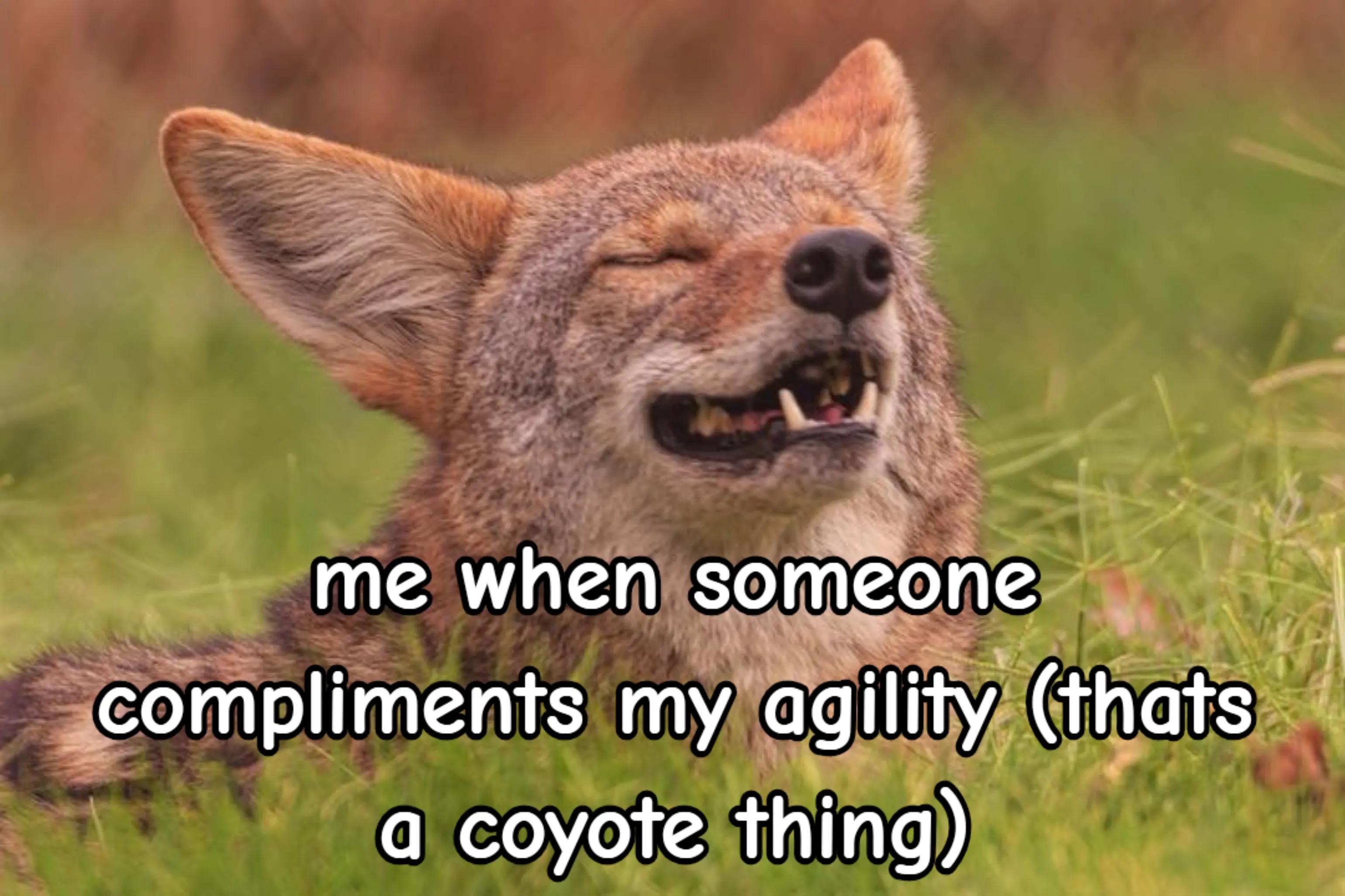 @yoteintheprarie