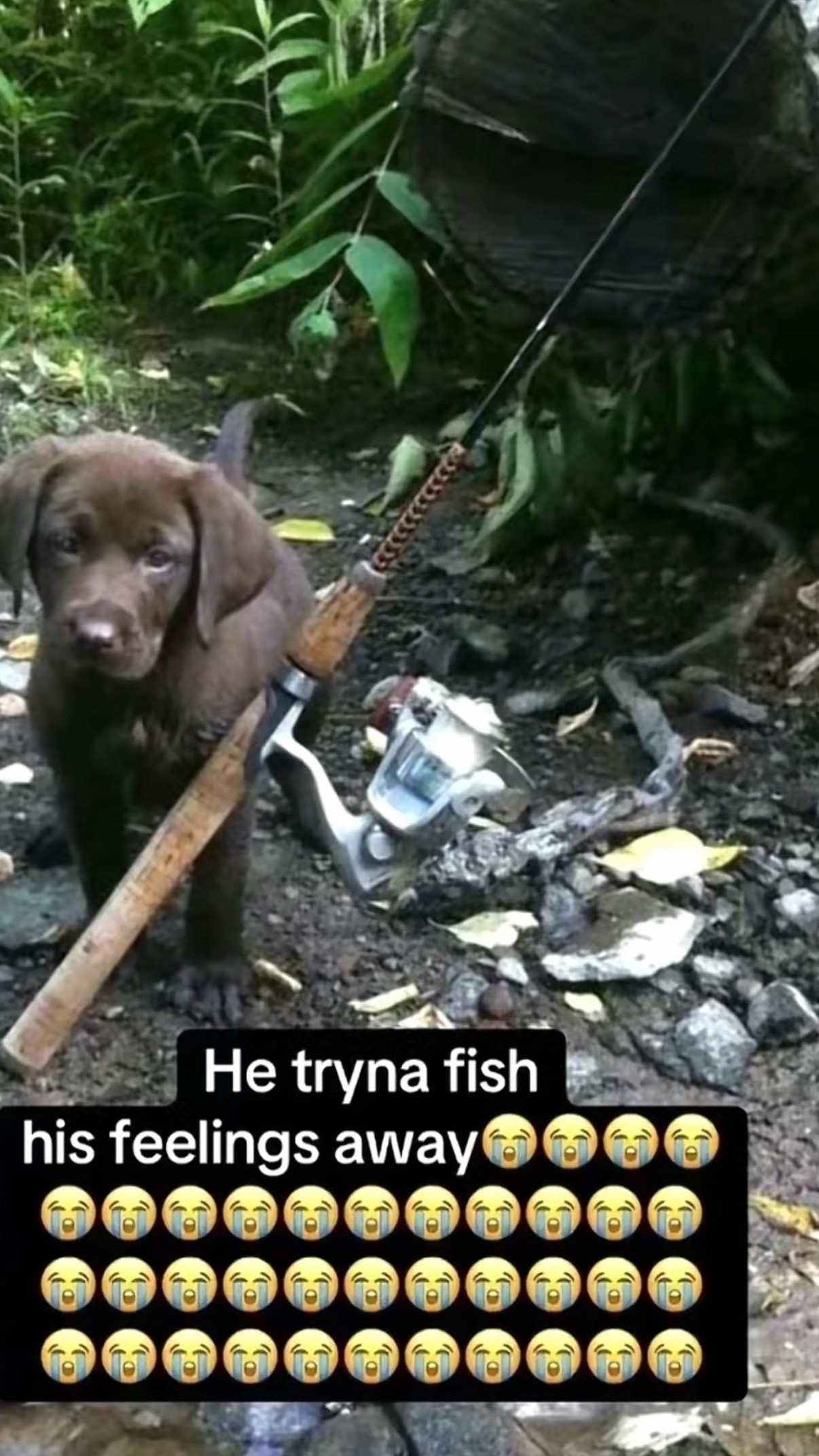 @Fish w Trey