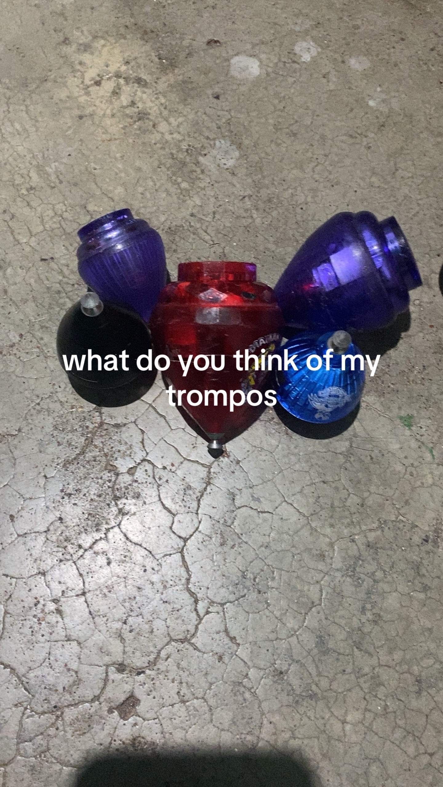 @leonardo895