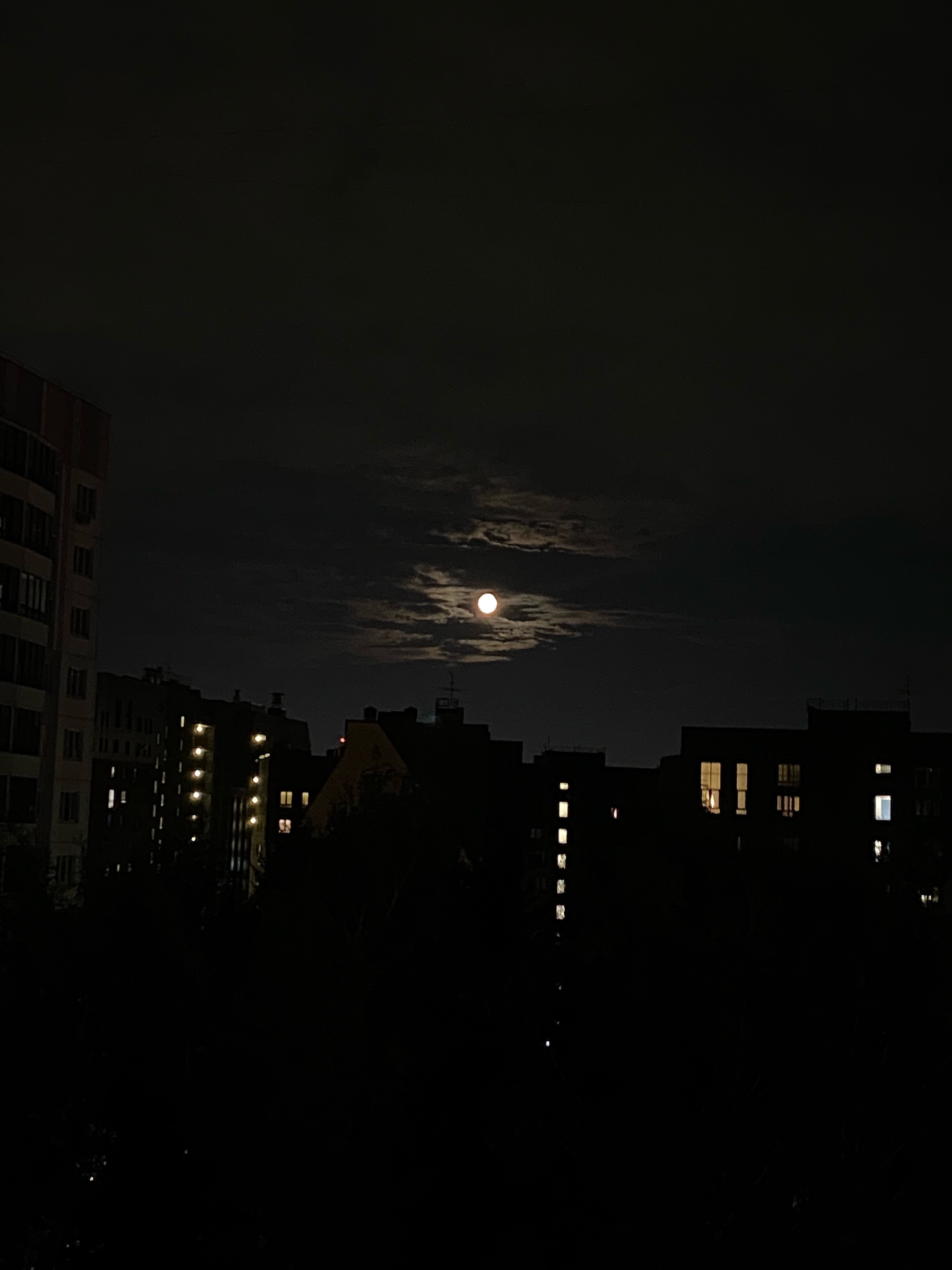 @сардина