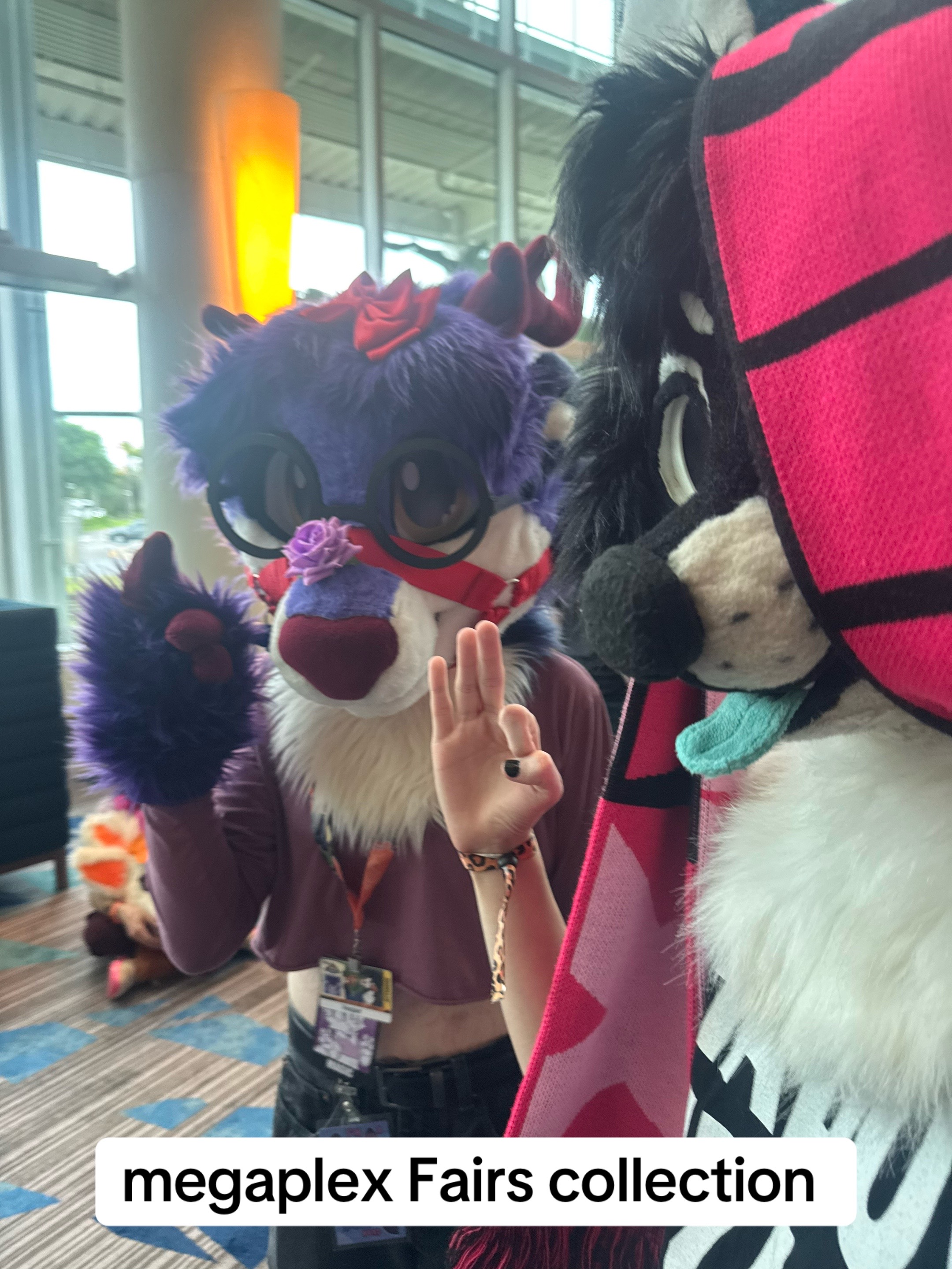 @pawbuttt🔜 MFF