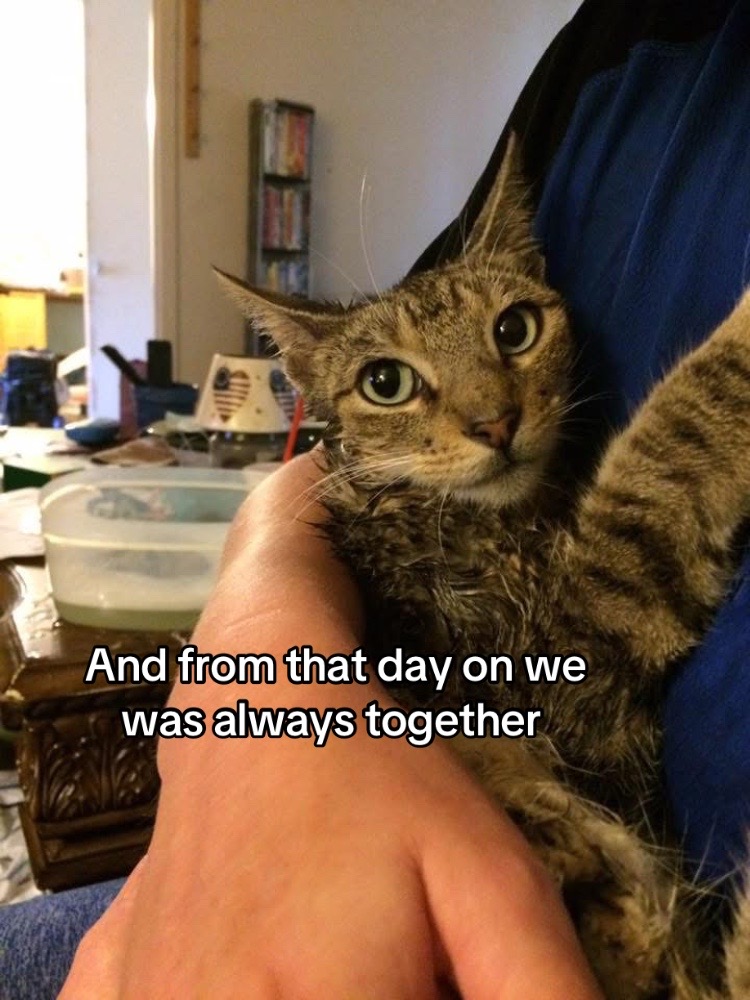 @Rae ( billies version)