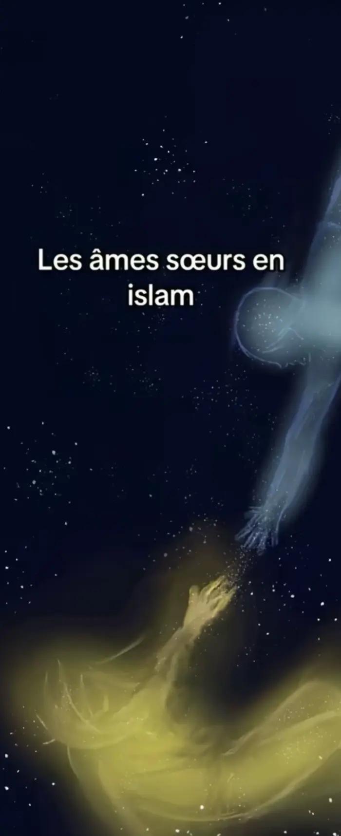 @clem.lina 59🇩🇿🇫🇷