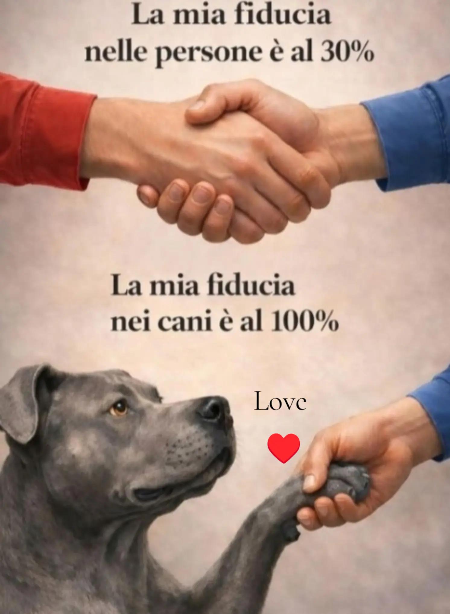 @Rossana♥️Billy♥️ Léon ♥️