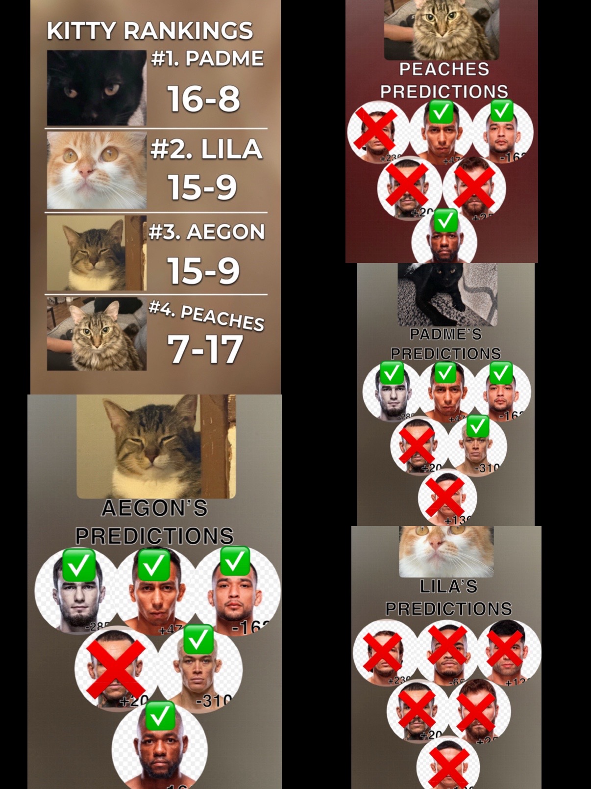 @Kitty Picks MMA