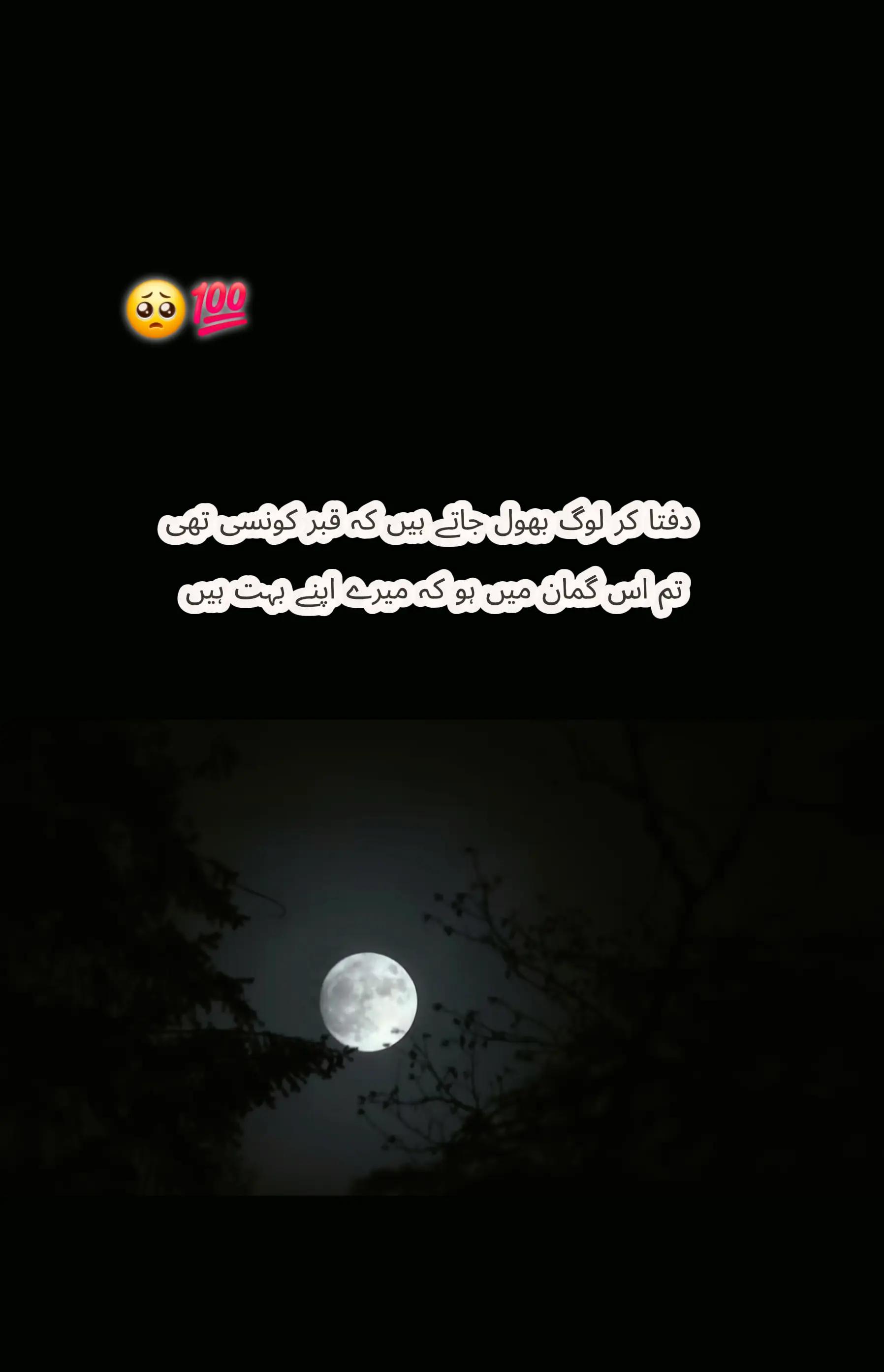 @-((👑🇨🇵.Syed🫶zada.🇨🇵👑))-