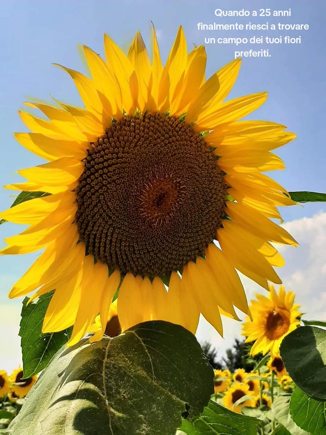 @mary🌻
