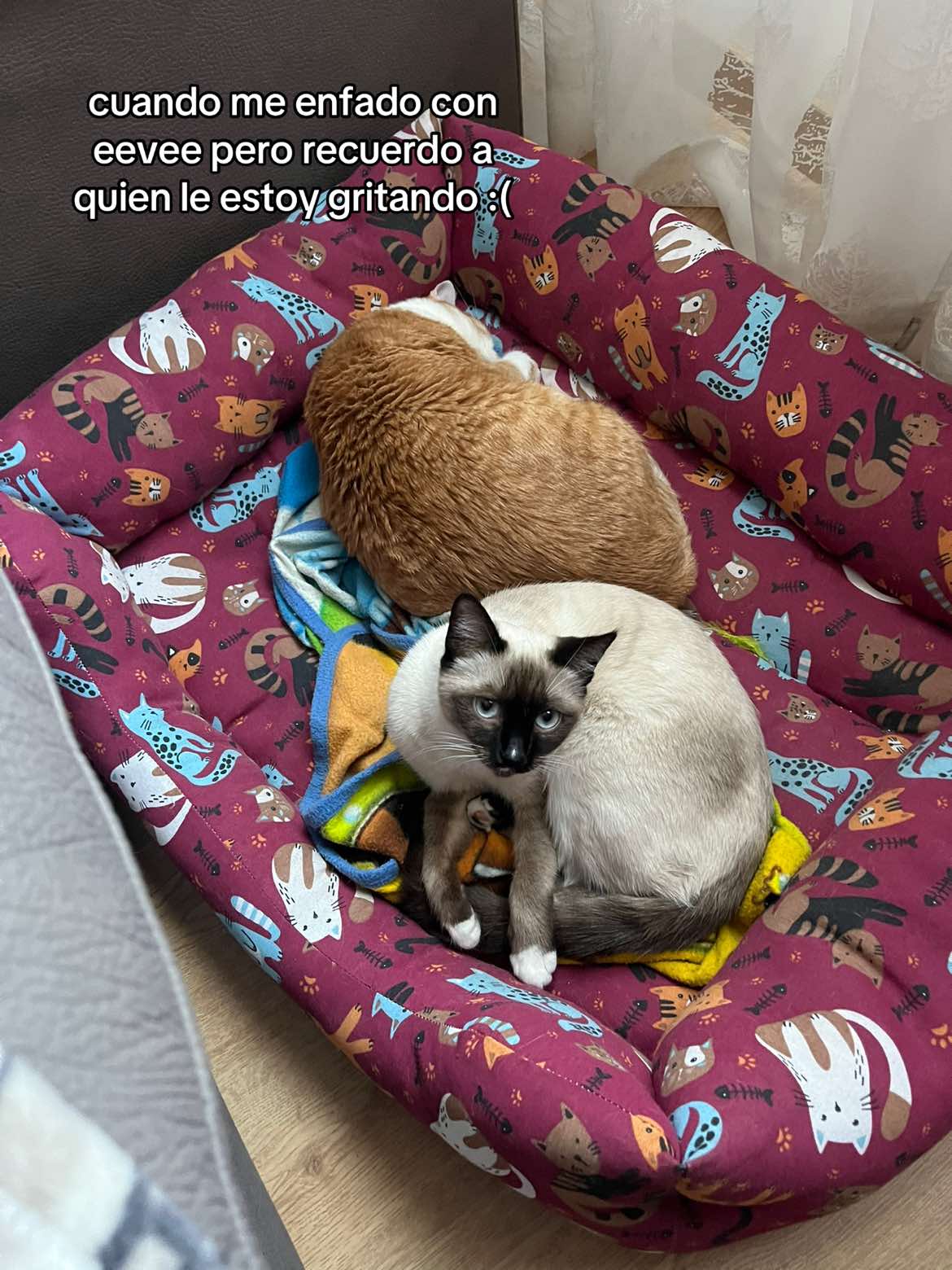 @irina.g16_