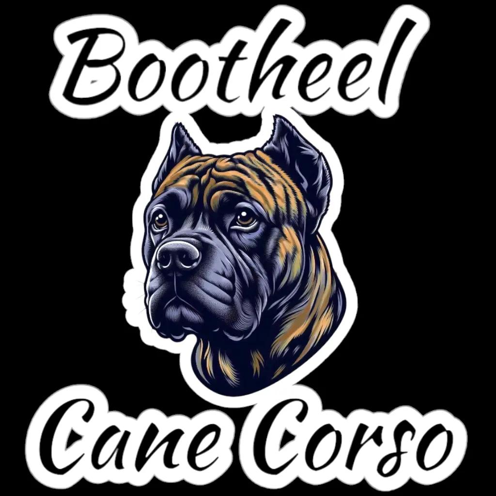@BOOTHEEL CANE CORSO