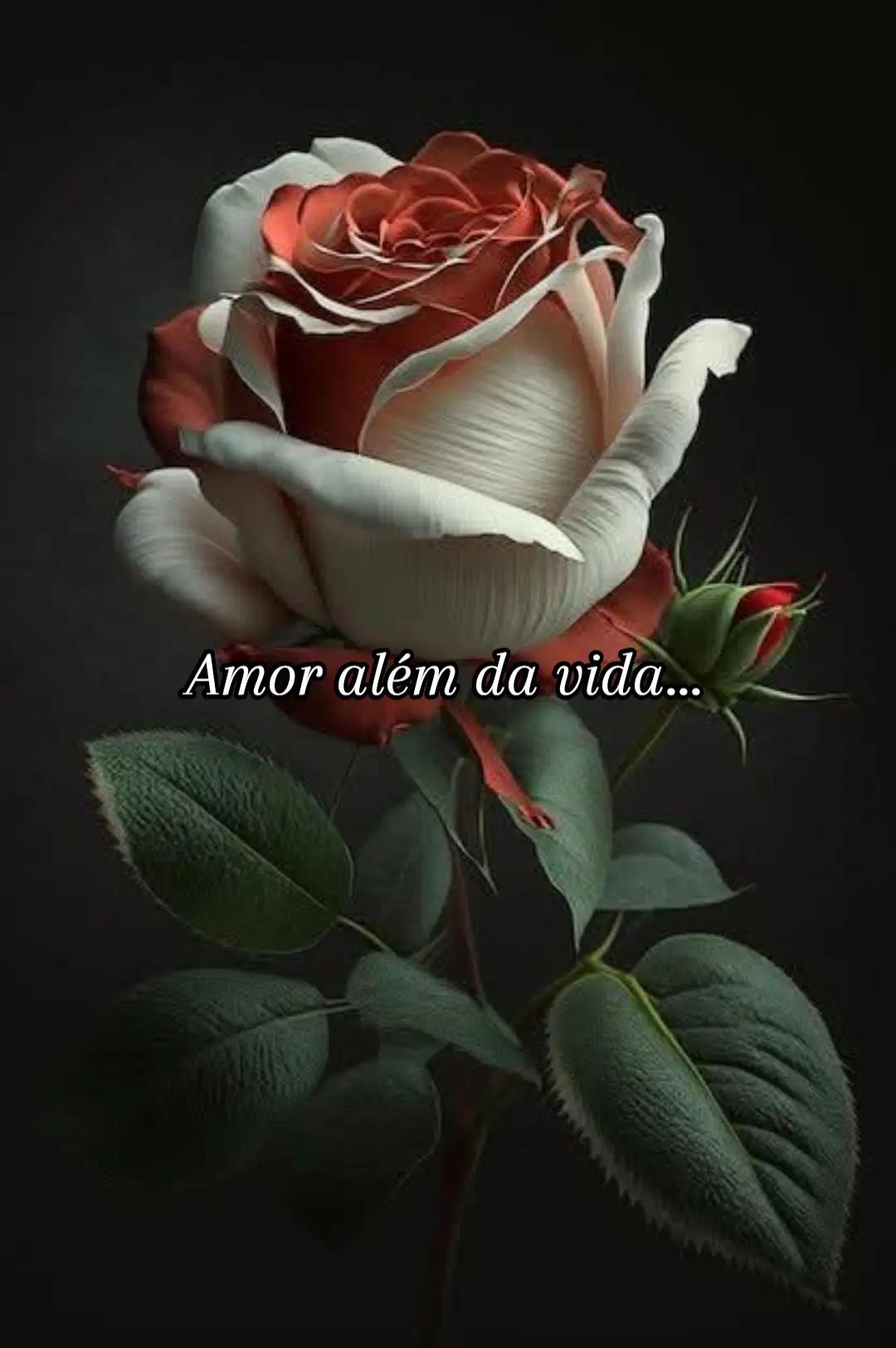 @CIDA GALV&Atilde;O A ABEN&Ccedil;OADA