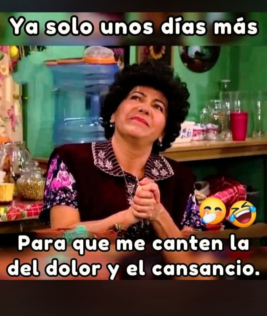 @Elvia.world
